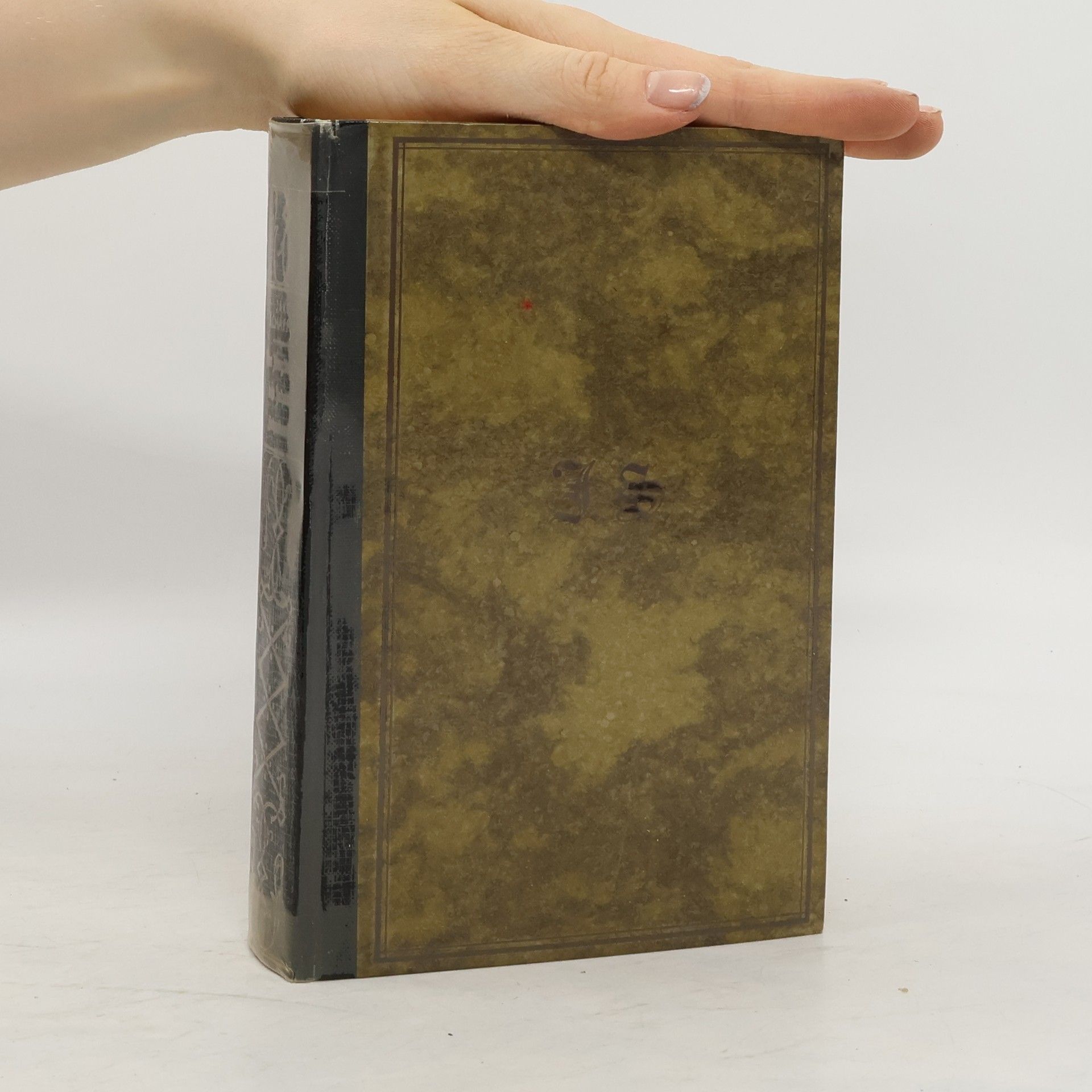 Die Jünglingszeit des Johannes Schattenhold