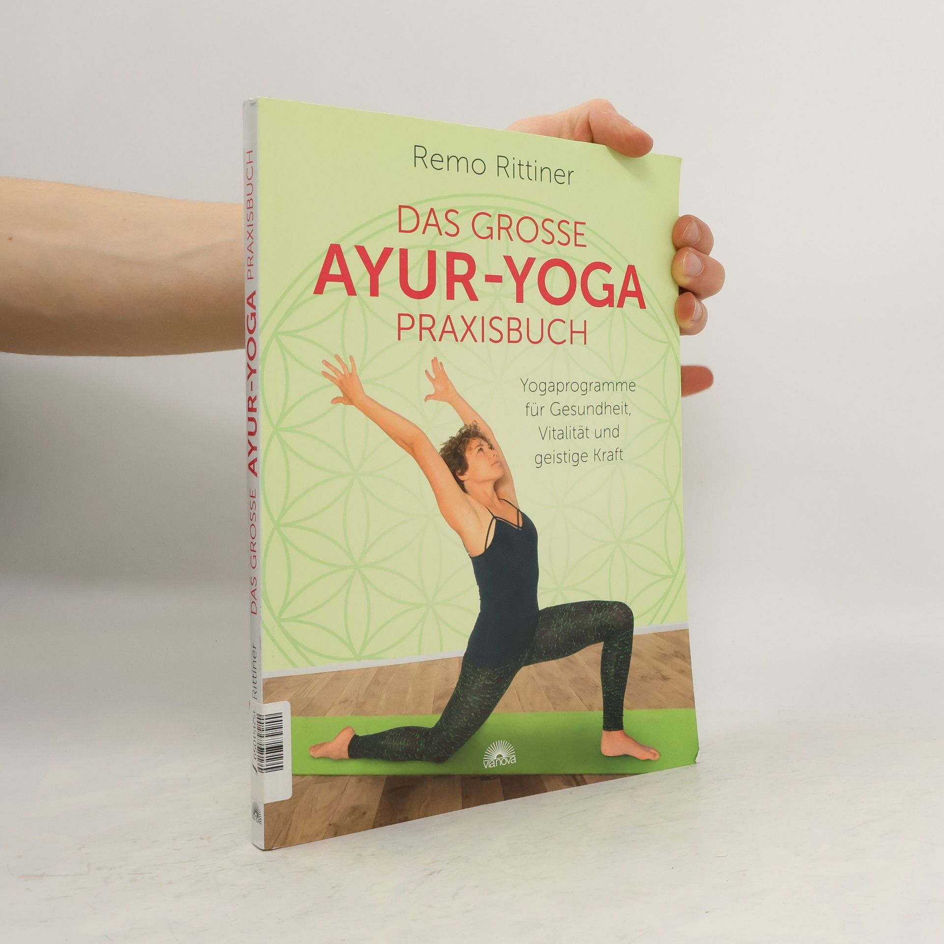 Remo Rittiner Das grosse Ayur-Yoga Praxisbuch
