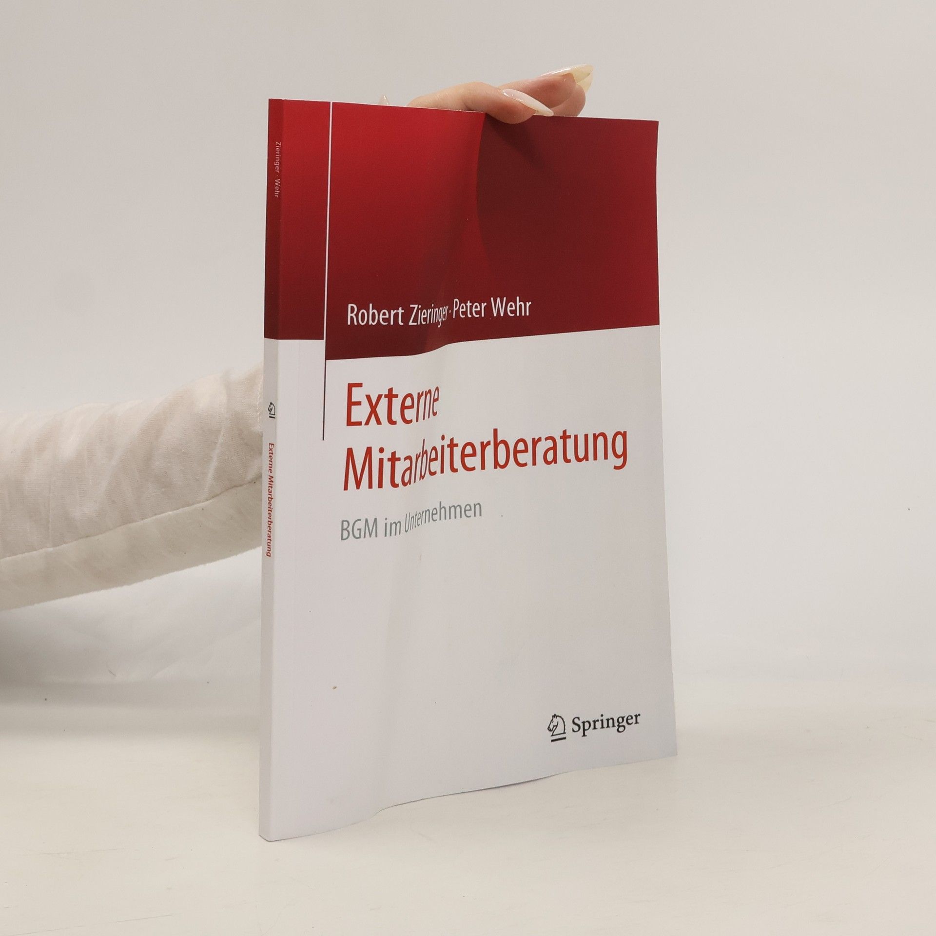 Robert Zieringer Externe Mitarbeiterberatung