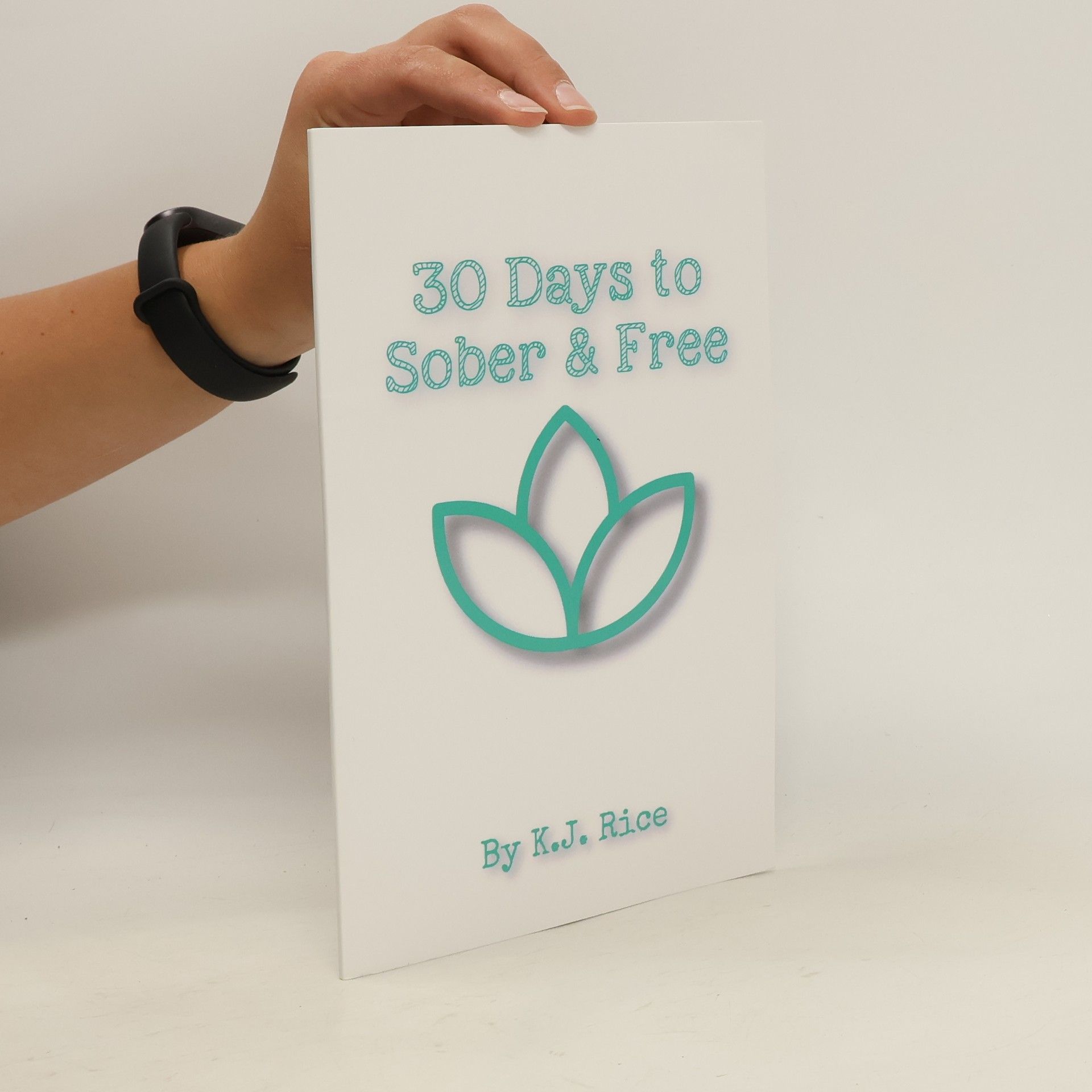 K.J. Rice 30 Days to Sober & Free