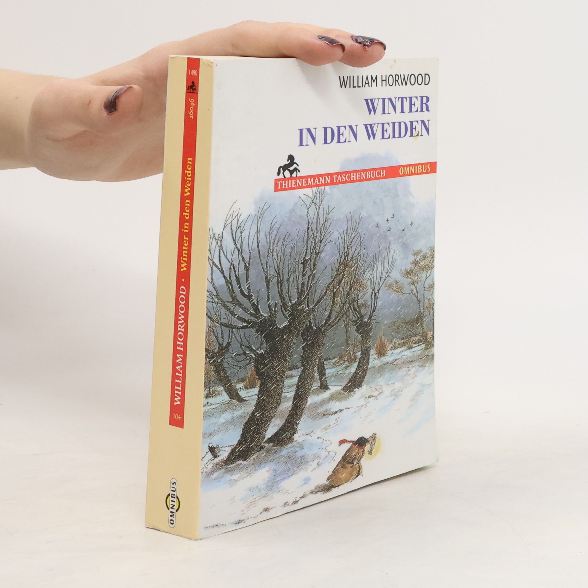 William Horwood Winter in den Weiden