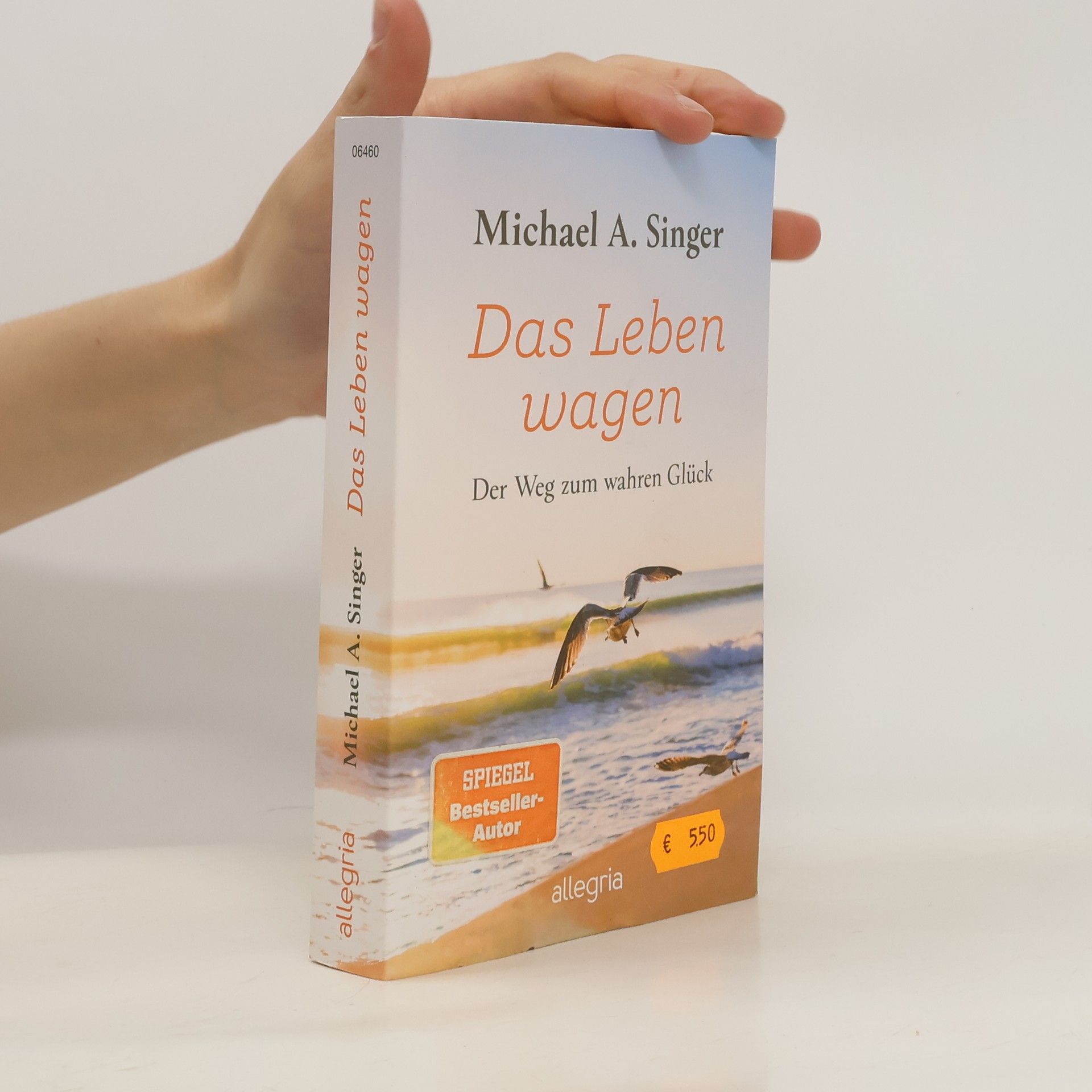 Michael A. Singer Das Leben wagen