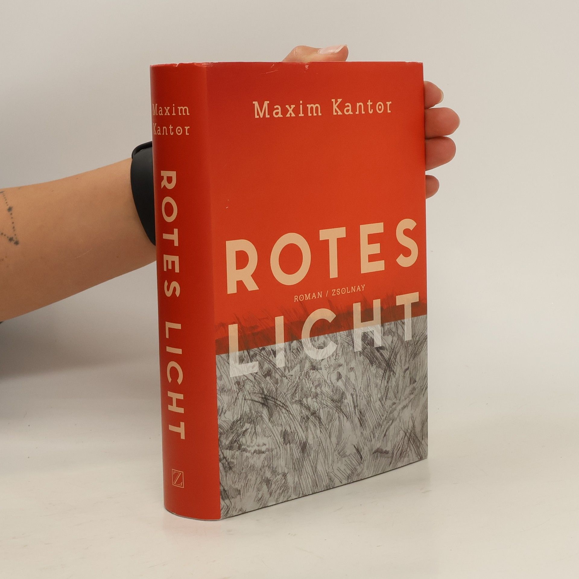 Maksim Kantor Rotes Licht