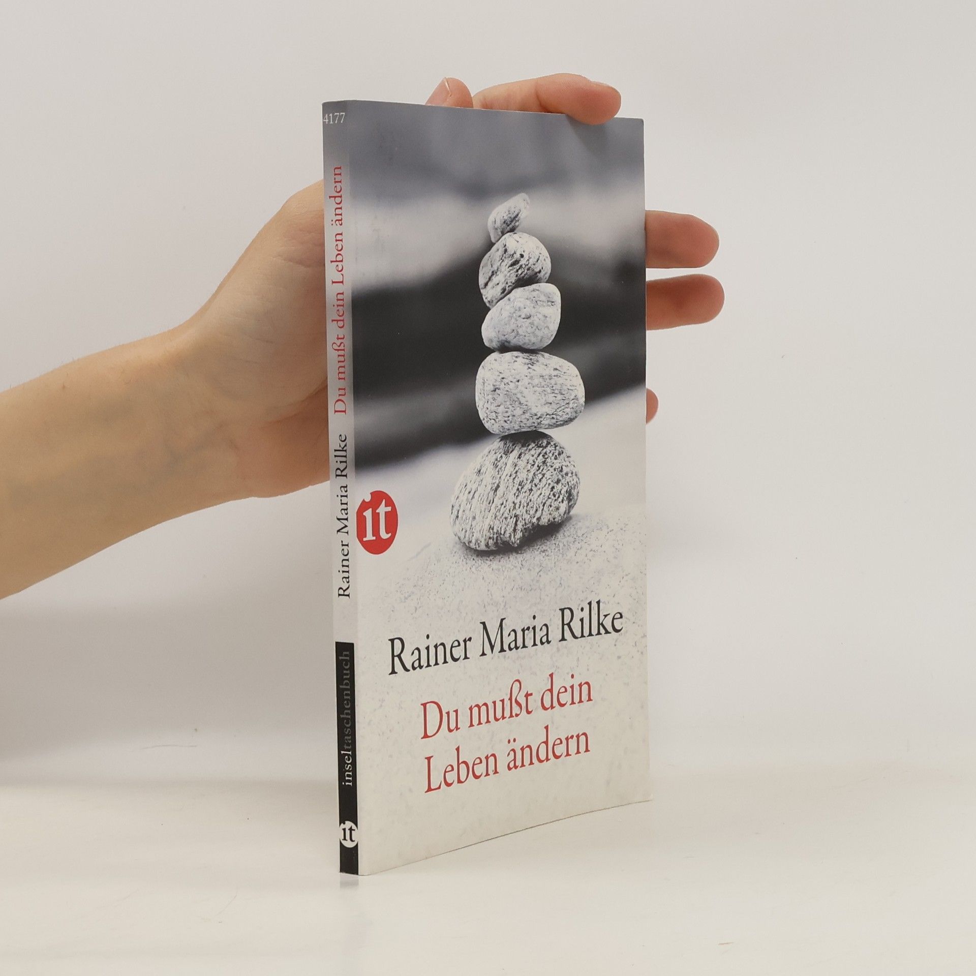 Rainer Maria Rilke Du mußt Dein Leben ändern
