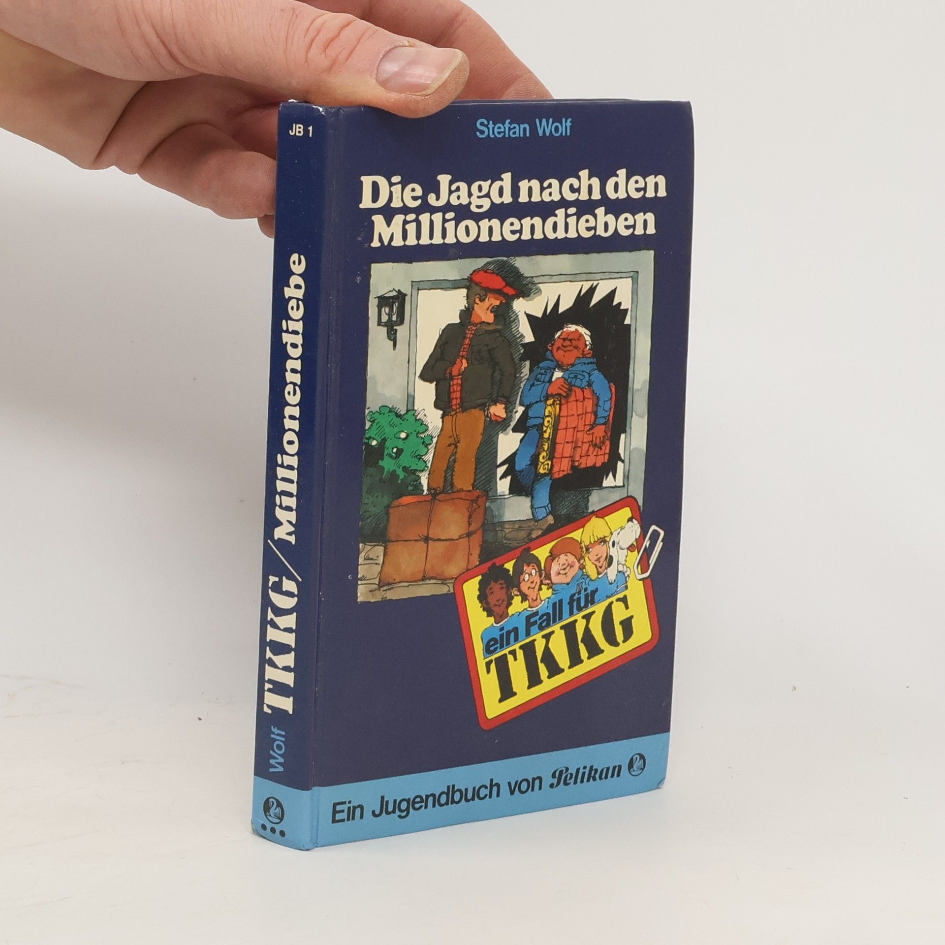 Stefan Wolf Ein Fall für TKKG. Die Jagd nach den Millionendieben