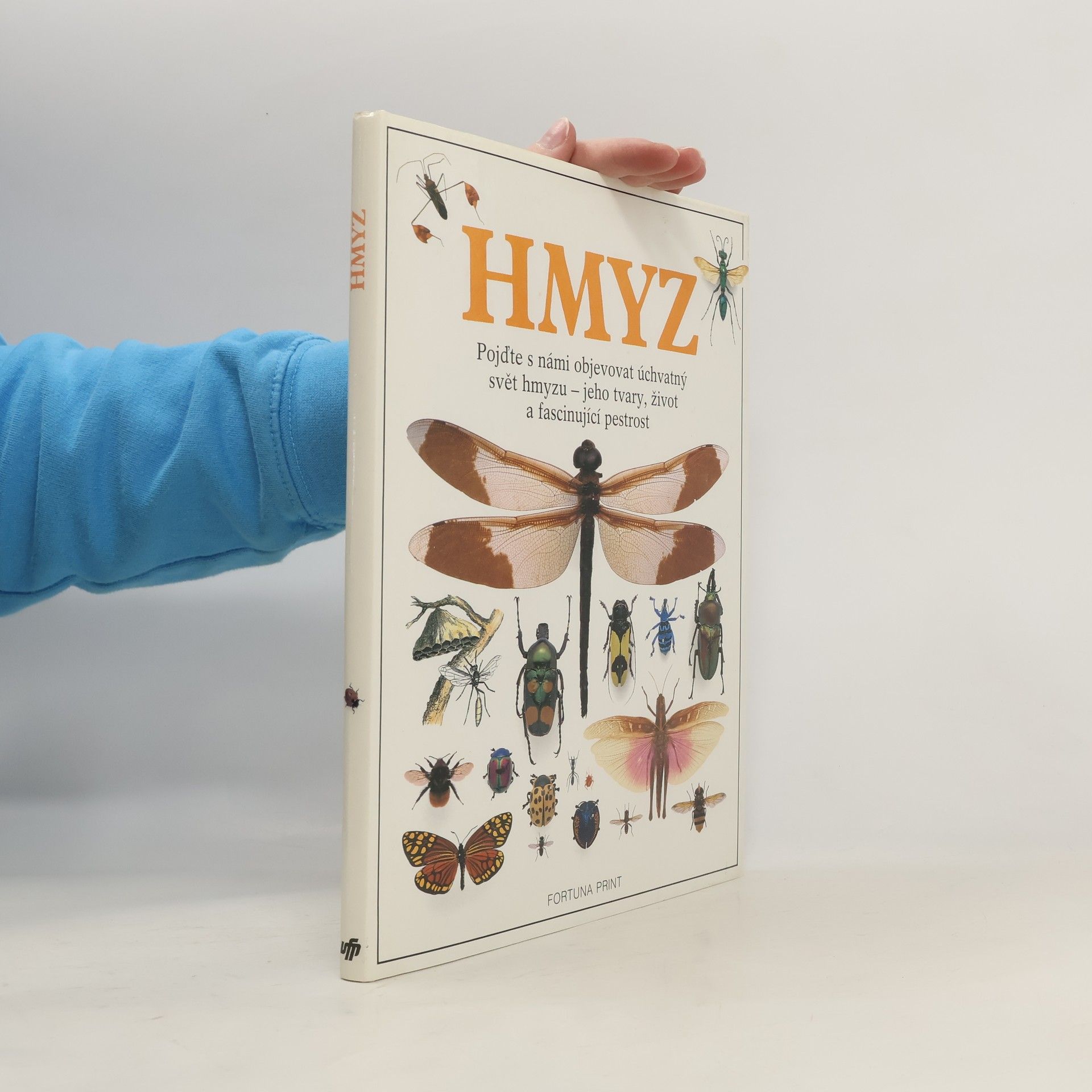 kolektiv Hmyz