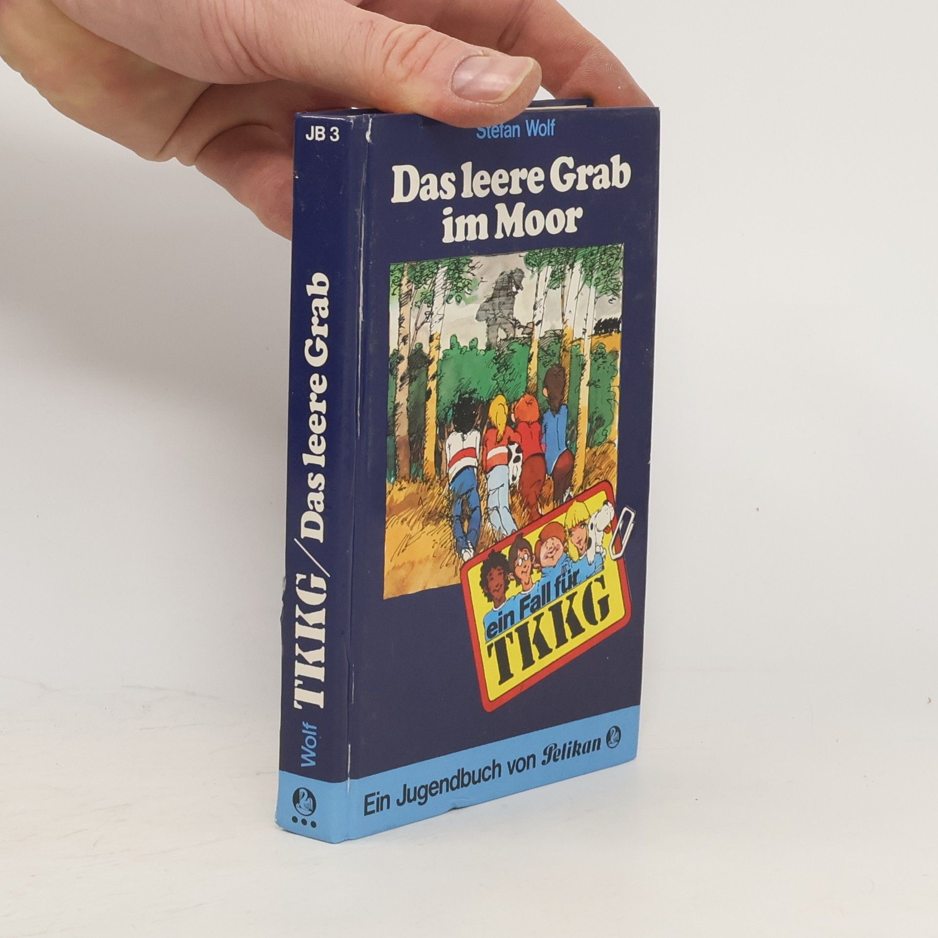 Stefan Wolf Das leere Grab im Moor