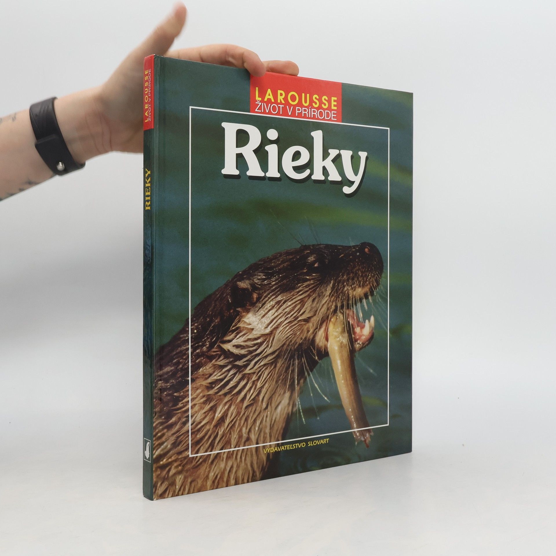Autorenkollektiv Rieky