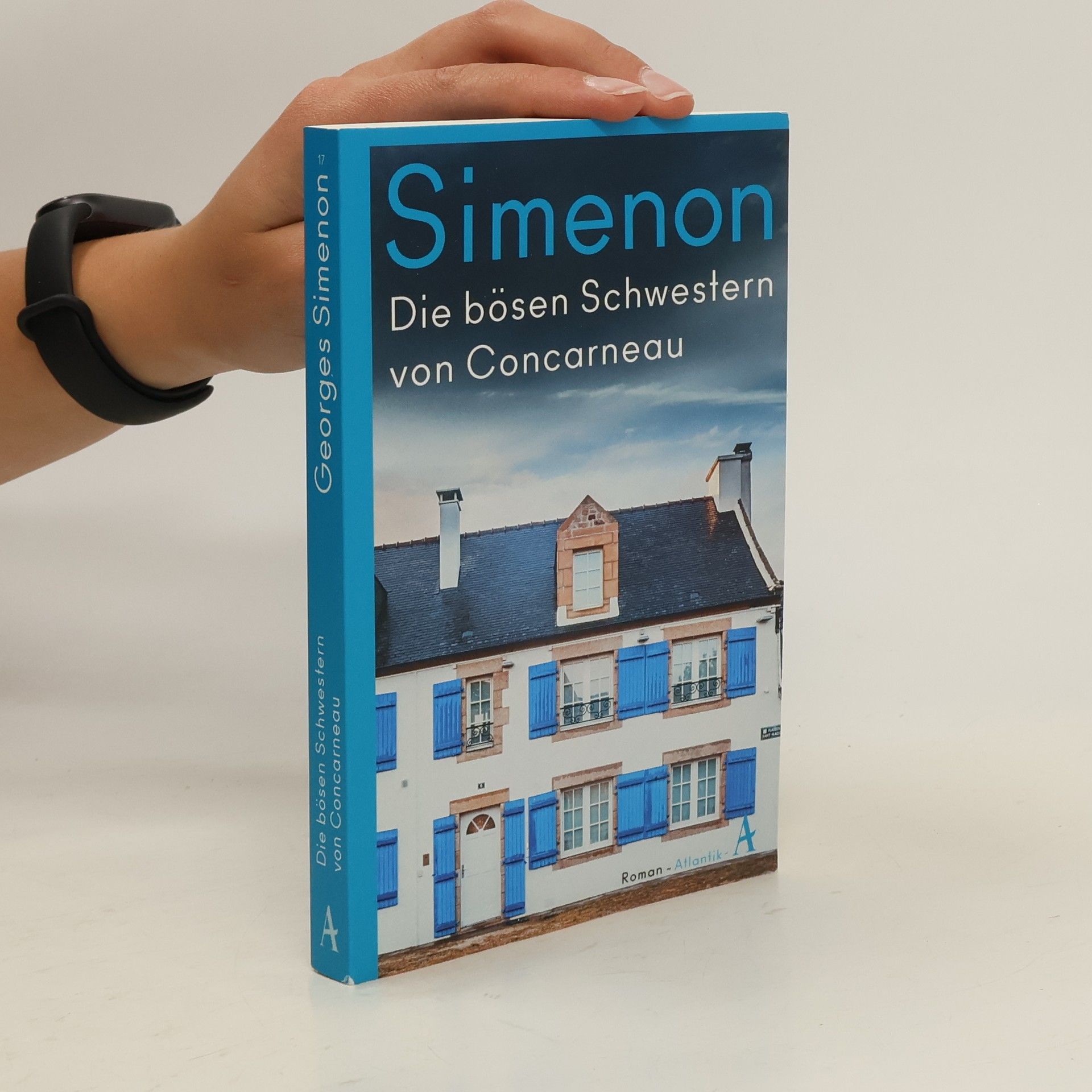 Georges Simenon Die bösen Schwestern von Concarneau