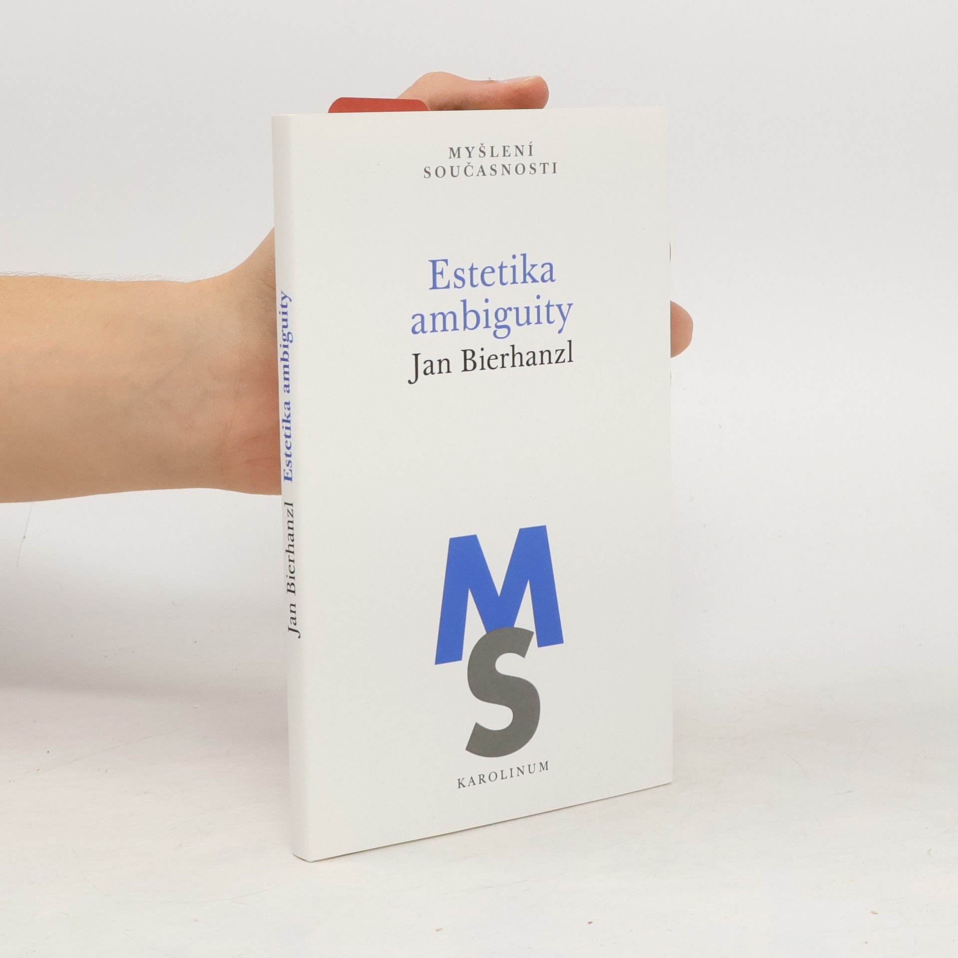 Jan Bierhanzl Estetika ambiguity