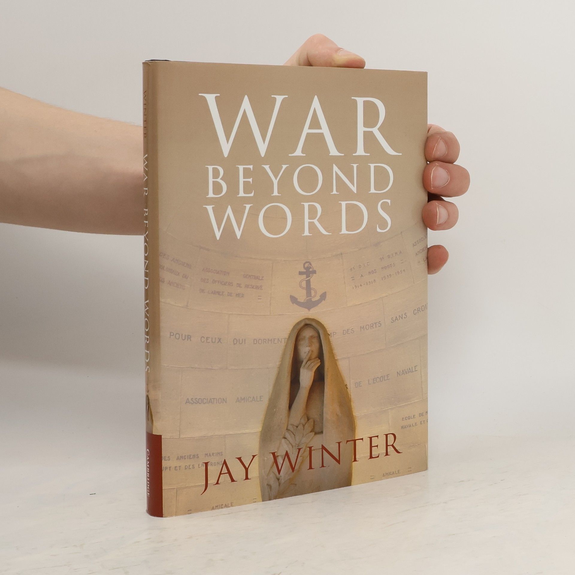 Jay Winter War beyond Words
