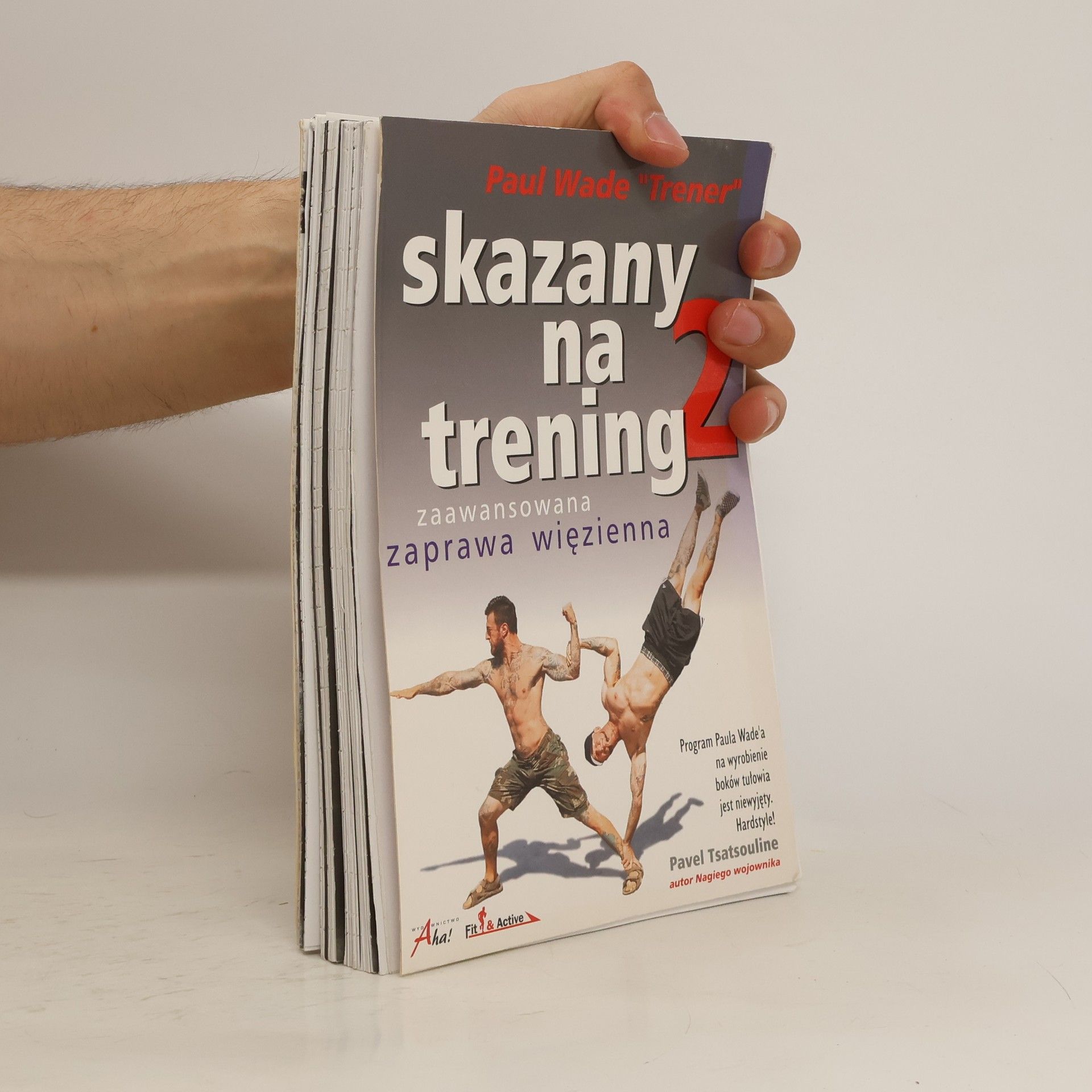Paul Wade Skazany na trening 2