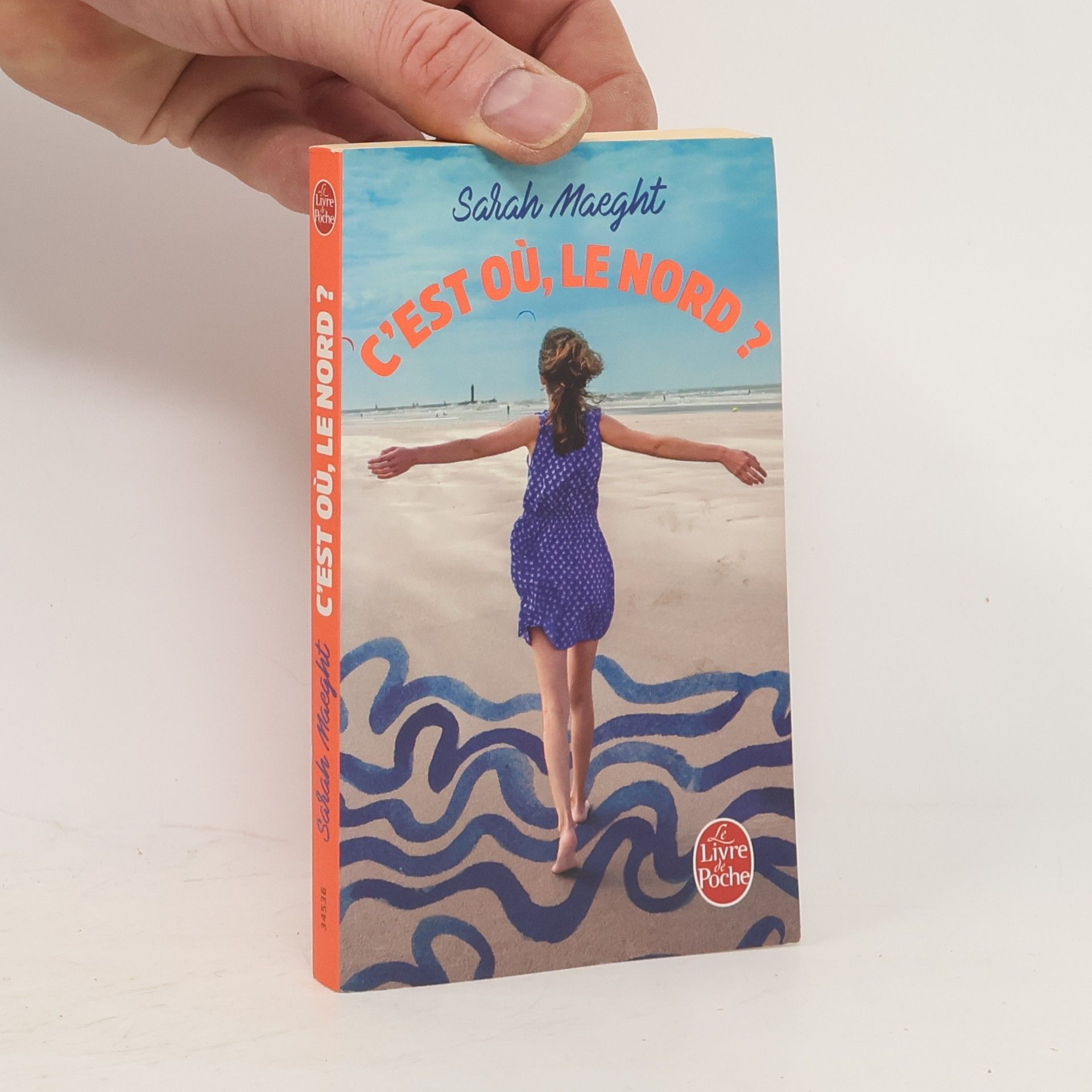 Sarah Maeght C'est où, le nord ?