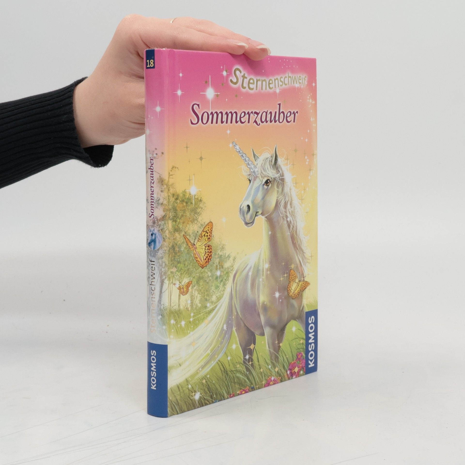 Linda Chapman Sternenschweif. Sommerzauber 18