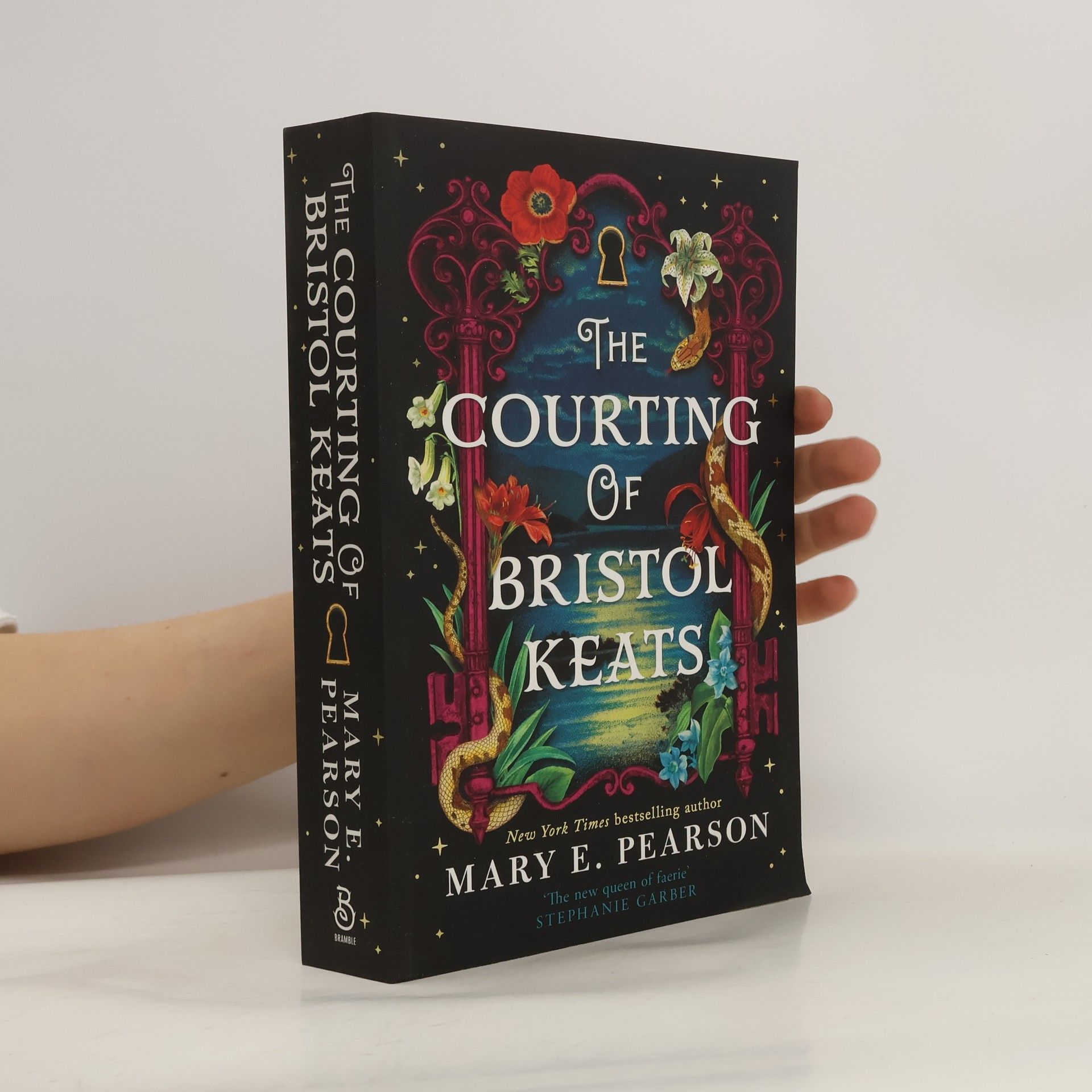 Mary E. Pearsonová The Courting of Bristol Keats