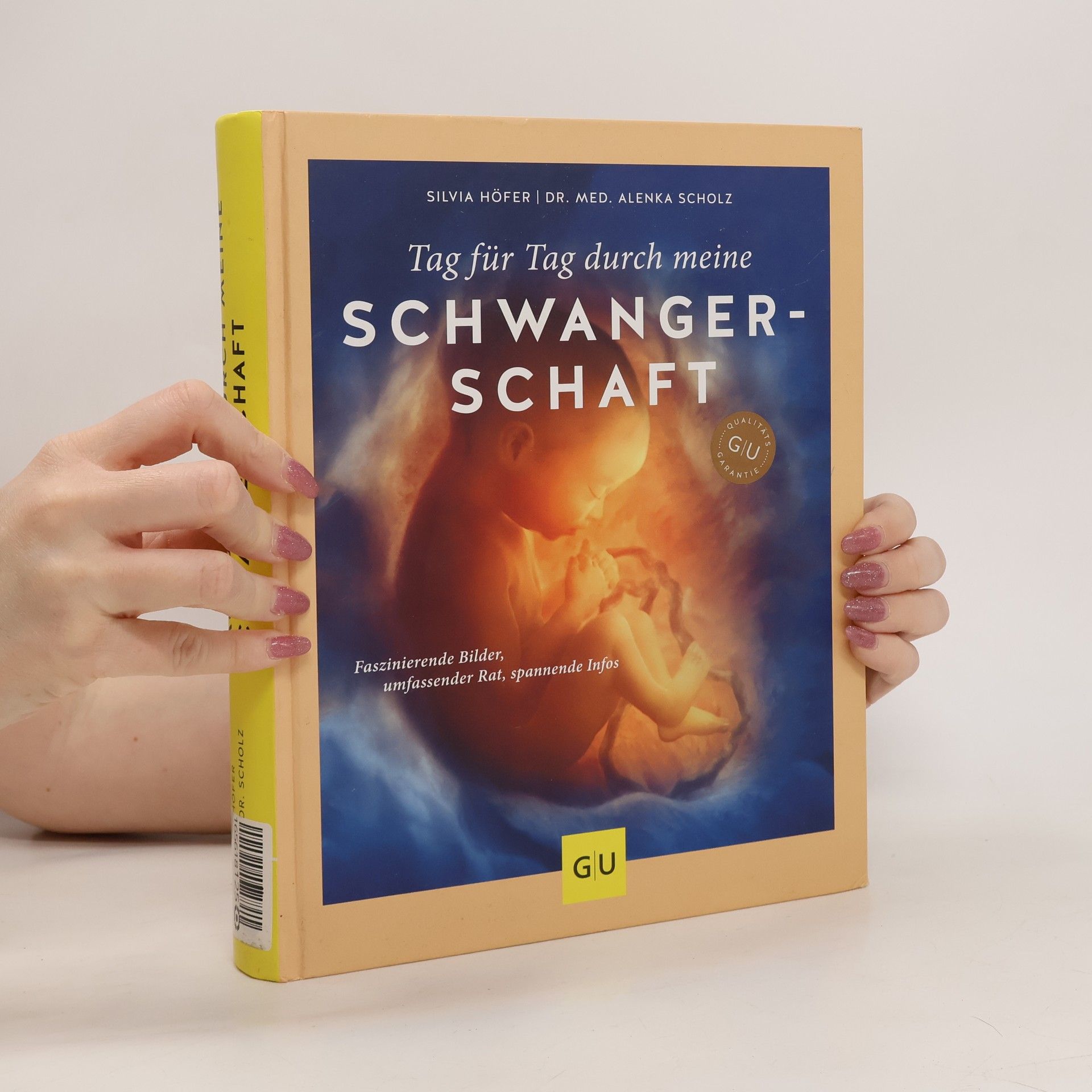 Silvia Höfer Tag für Tag durch meine Schwangerschaft