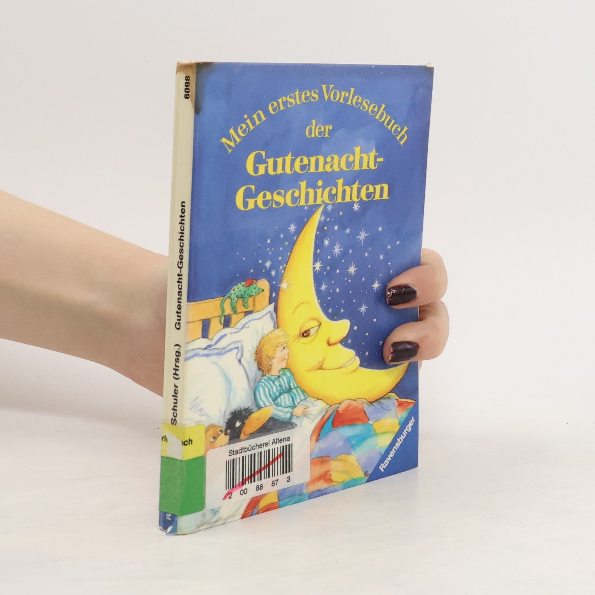 Collectif d'auteurs Mein erstes Vorlesebuch der Gutenacht-Geschichten