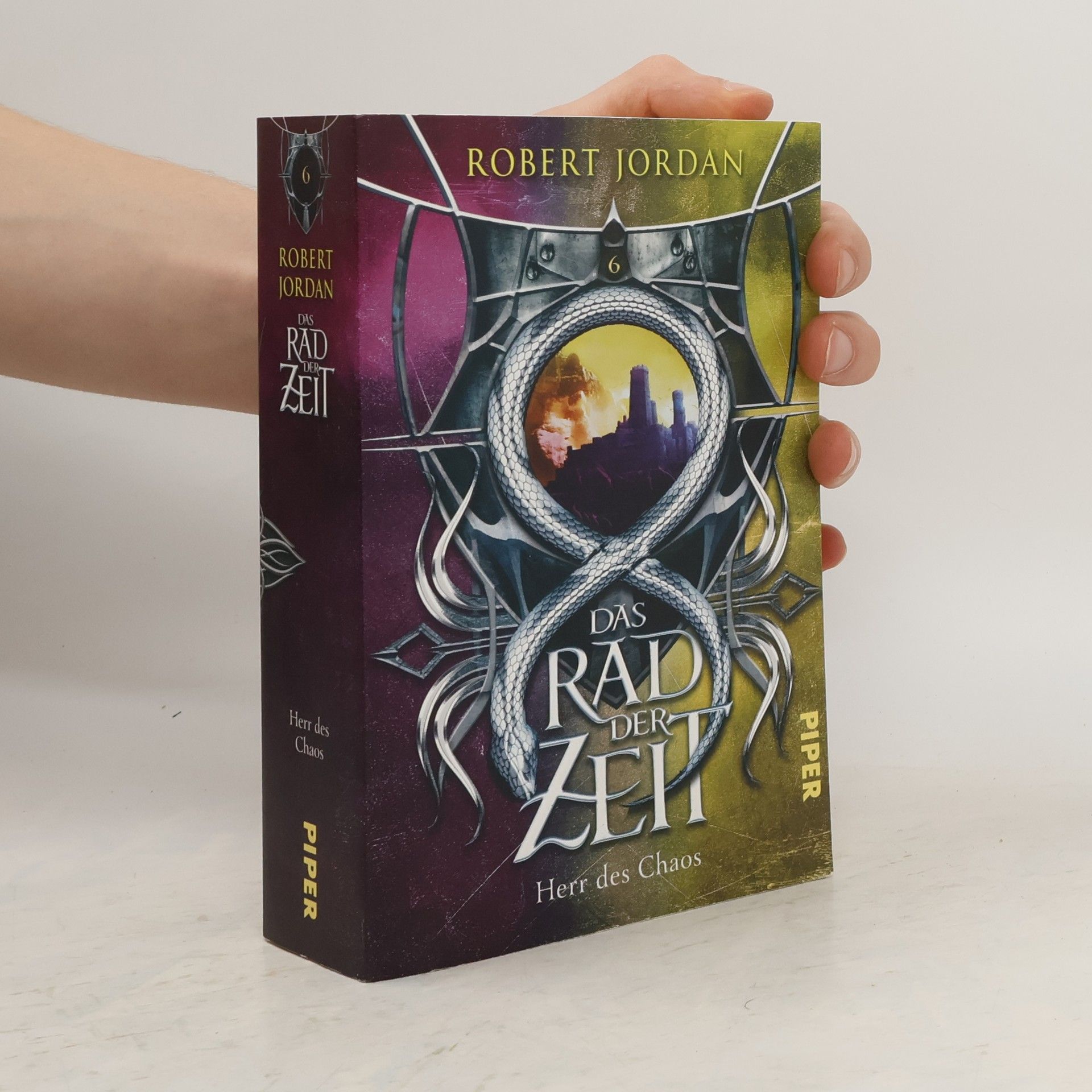 Robert Jordan Das Rad der Zeit 6