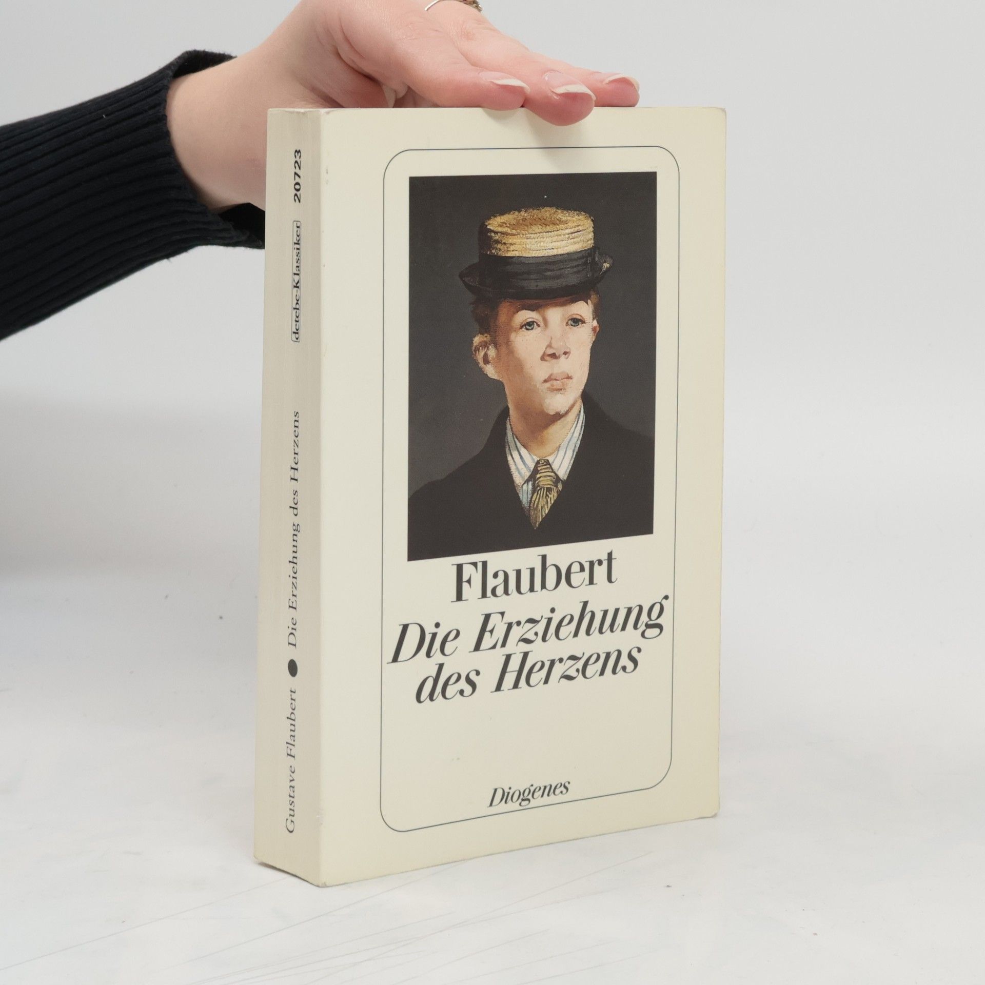 Gustave Flaubert Die Erziehung des Herzens