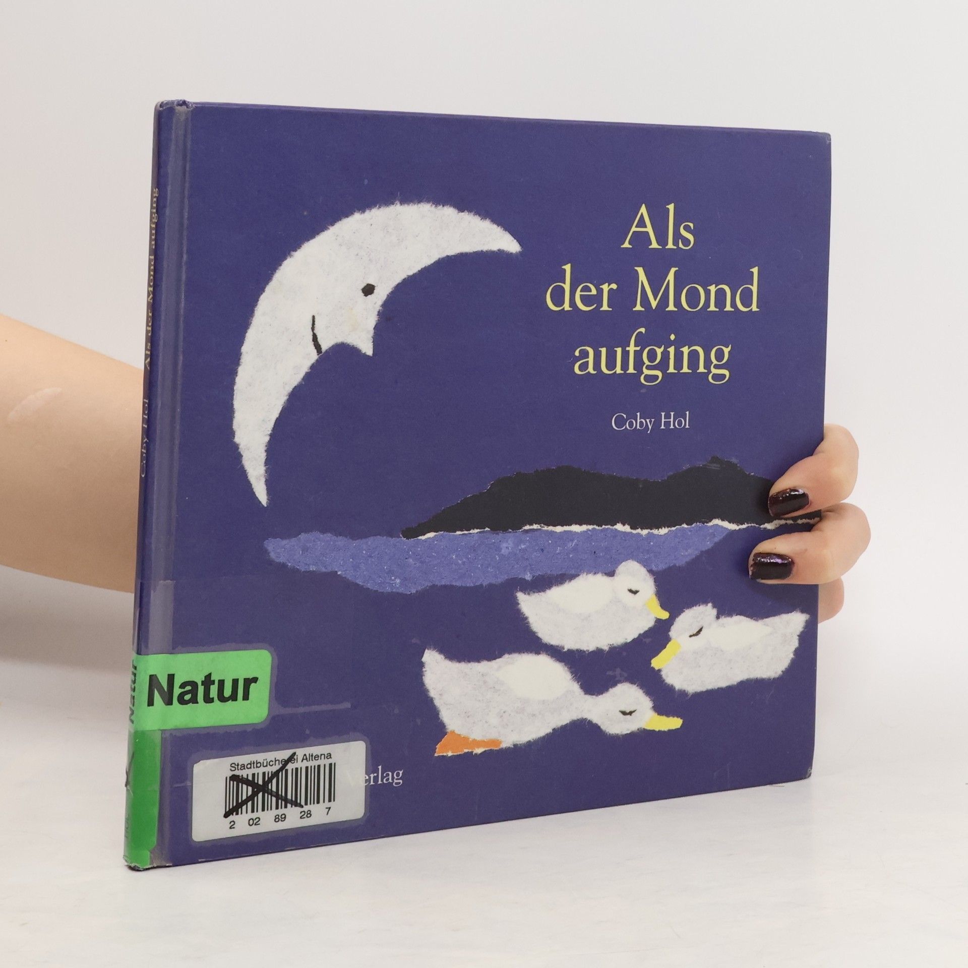 Coby Hol Als der Mond aufging