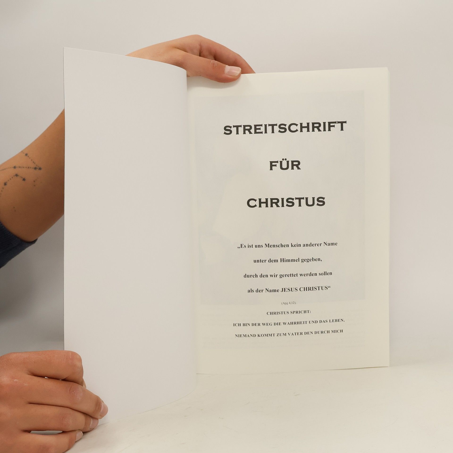 Autorenkollektiv Die Ökumene des Papst Franziskus Sj