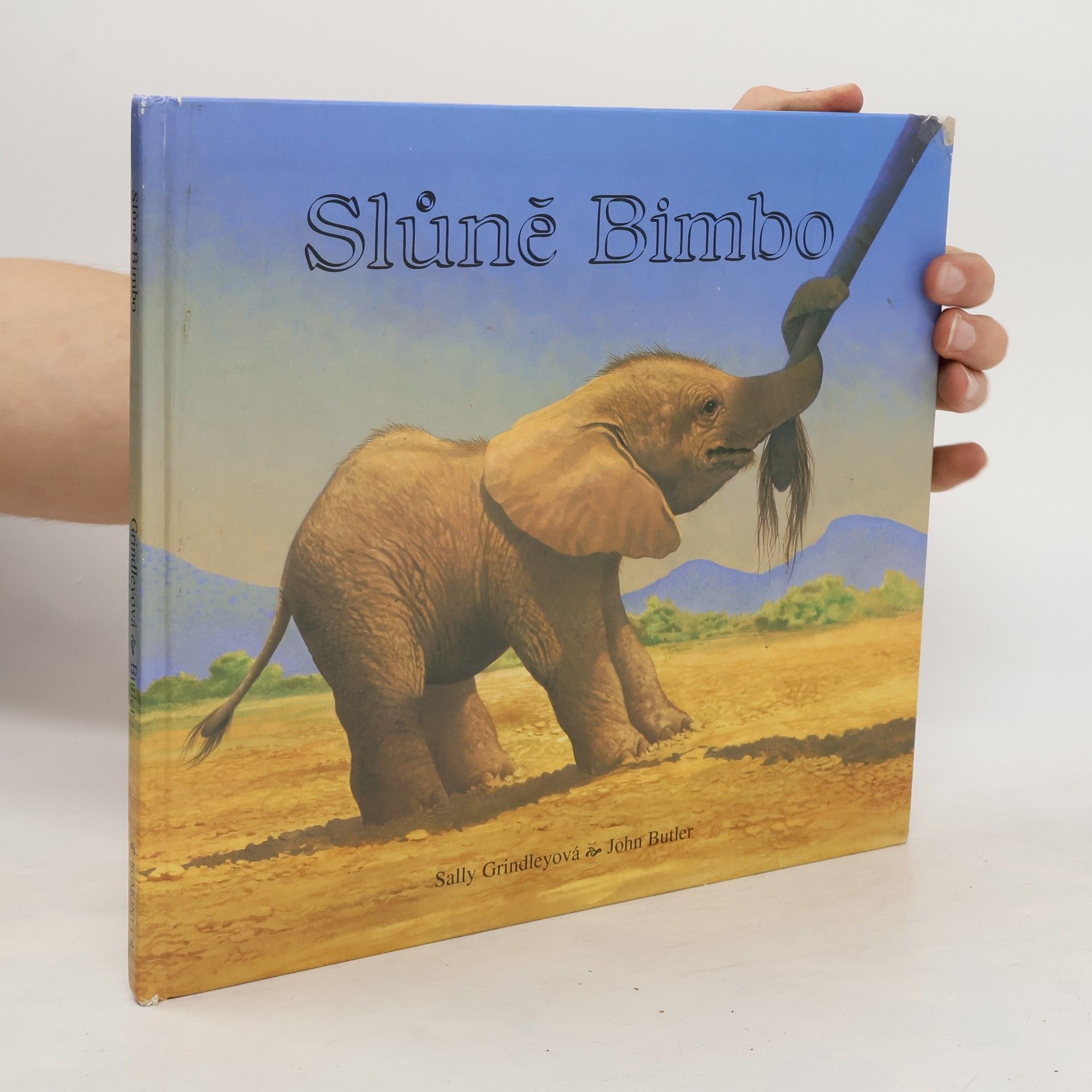 Sally Grindley Slůně Bimbo