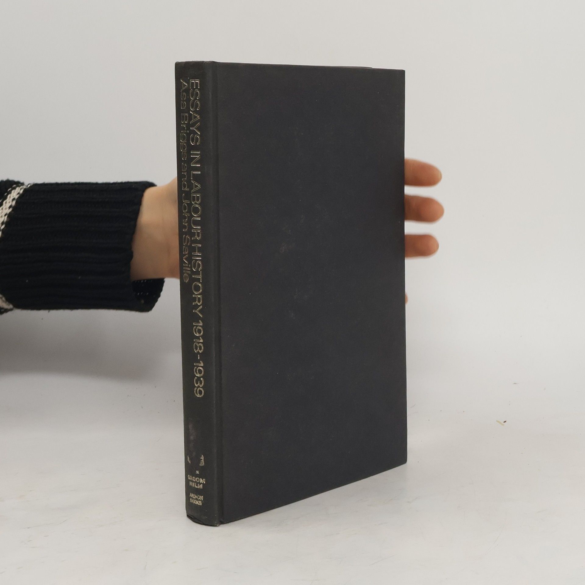 Asa Briggs Essays in Labour History. 1918-1939