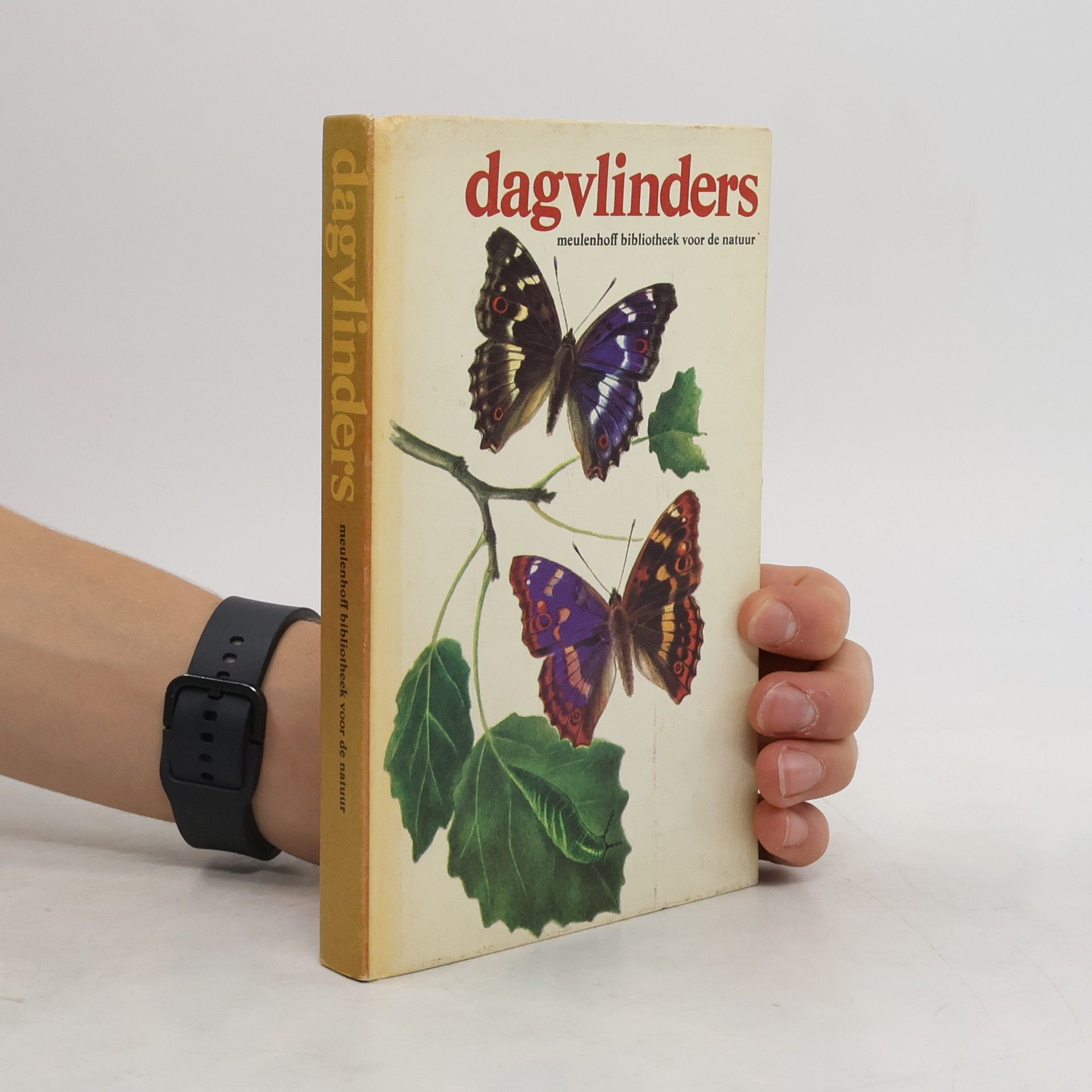 Autorenkollektiv Dagvlinders (nizozemština)