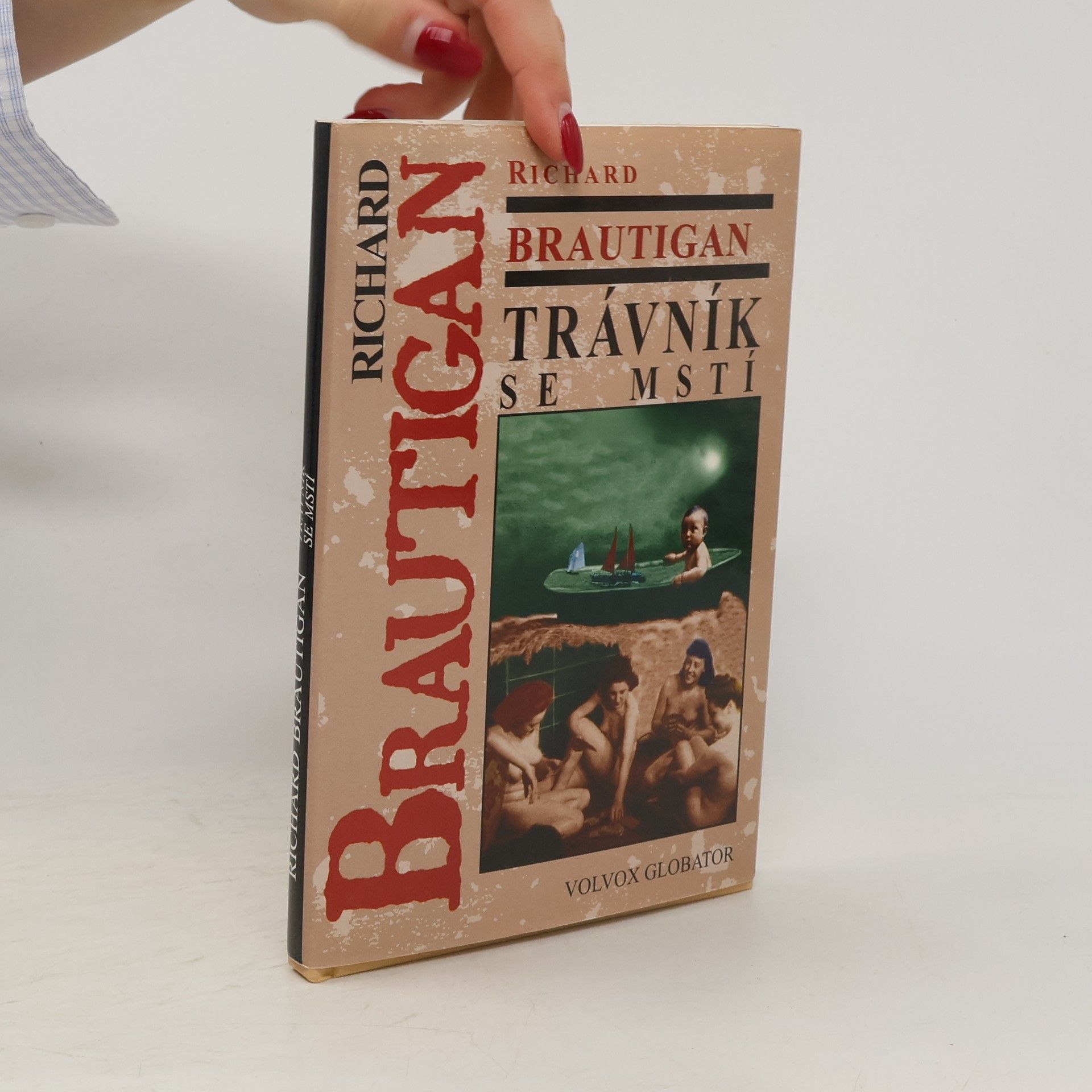 Richard Brautigan Trávník se mstí (povídky z let 1962-1970)