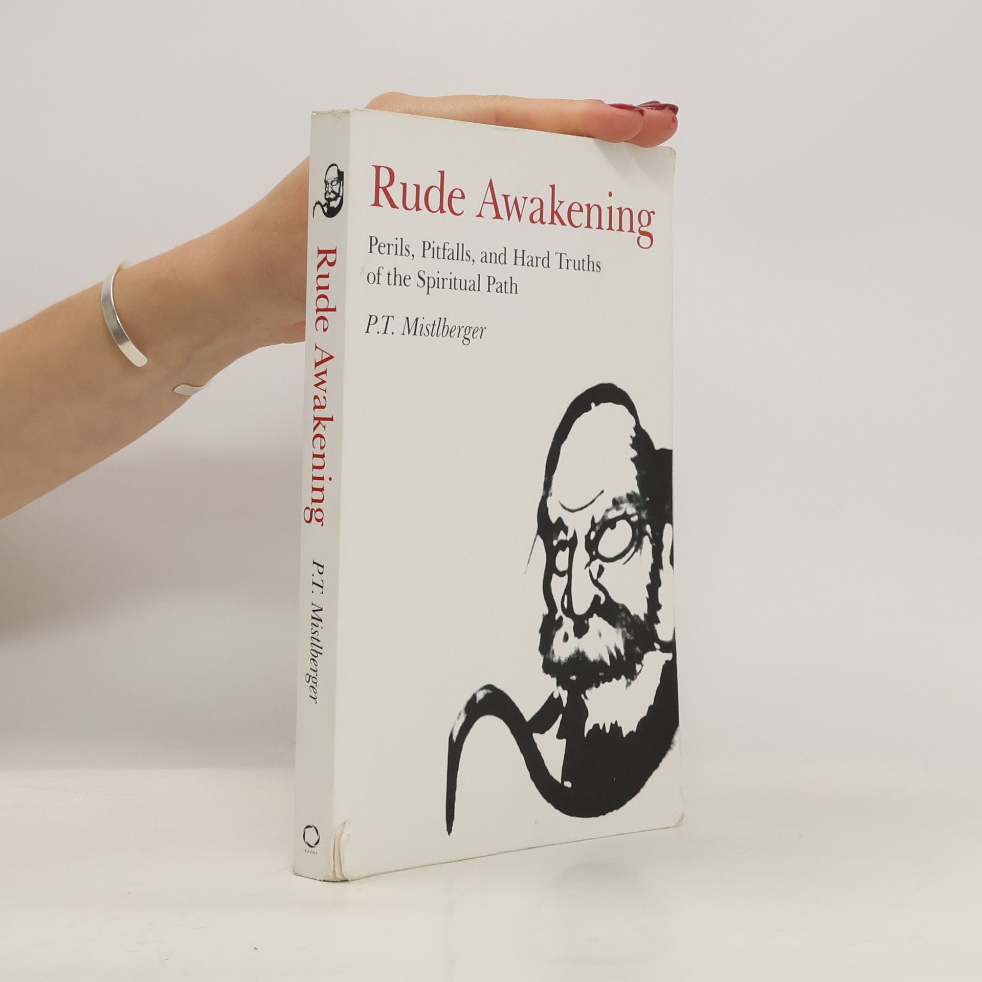 P. T. Mistlberger Rude Awakening