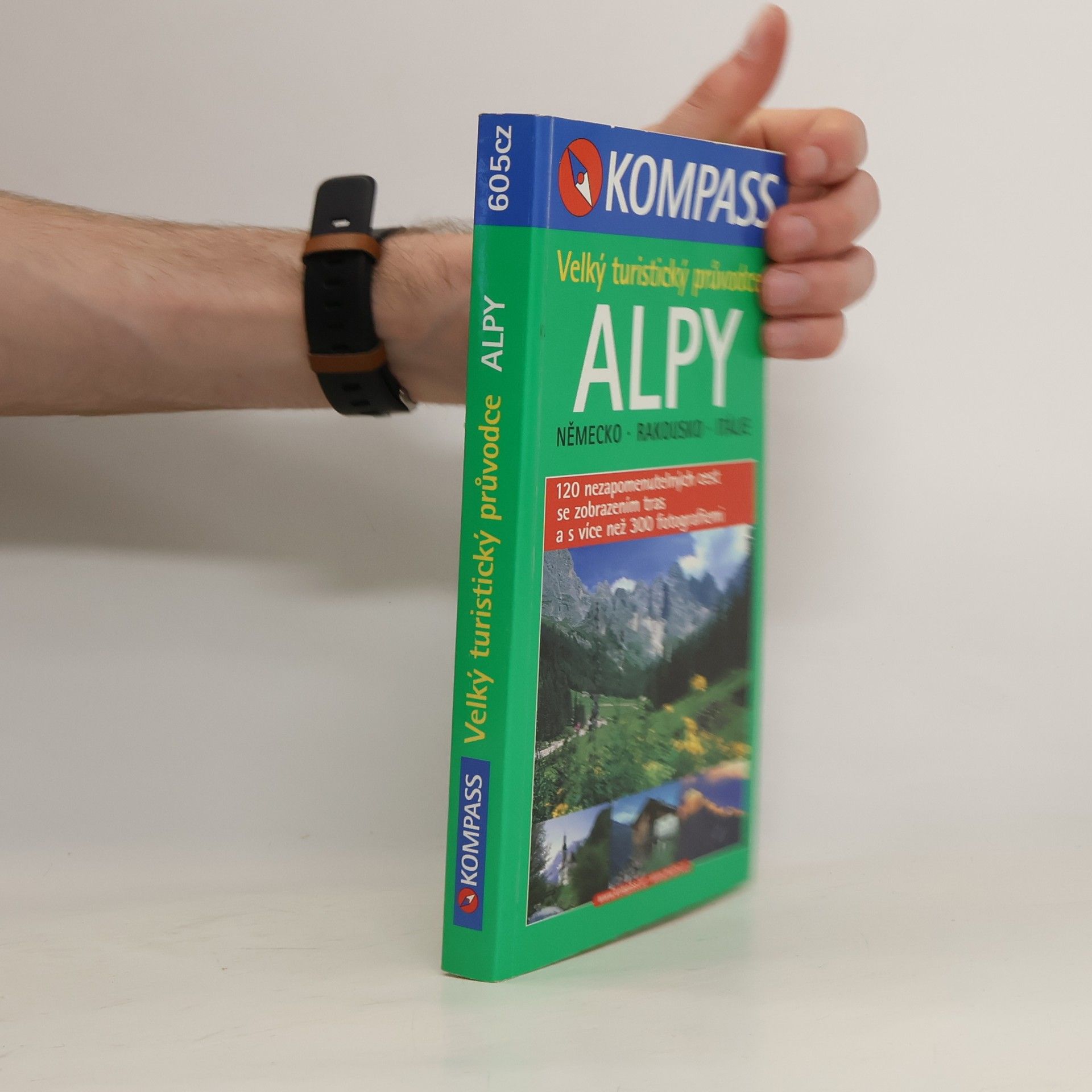 Autorenkollektiv Alpy. Velký turistický průvodce. Německo. Rakousko. Itálie