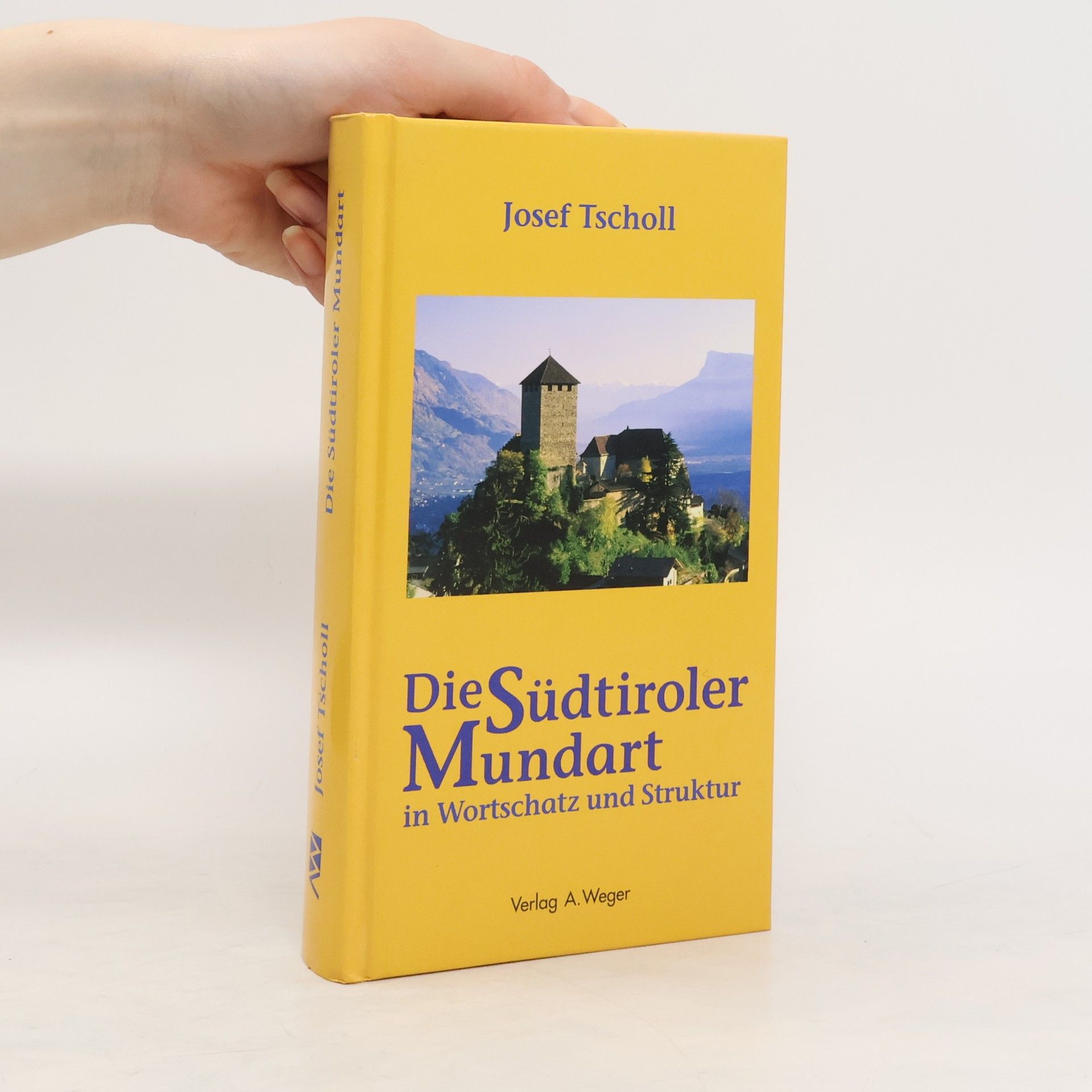 Josef Tscholl Die jetzige Südtiroler Mundart in Wortschatz und Struktur