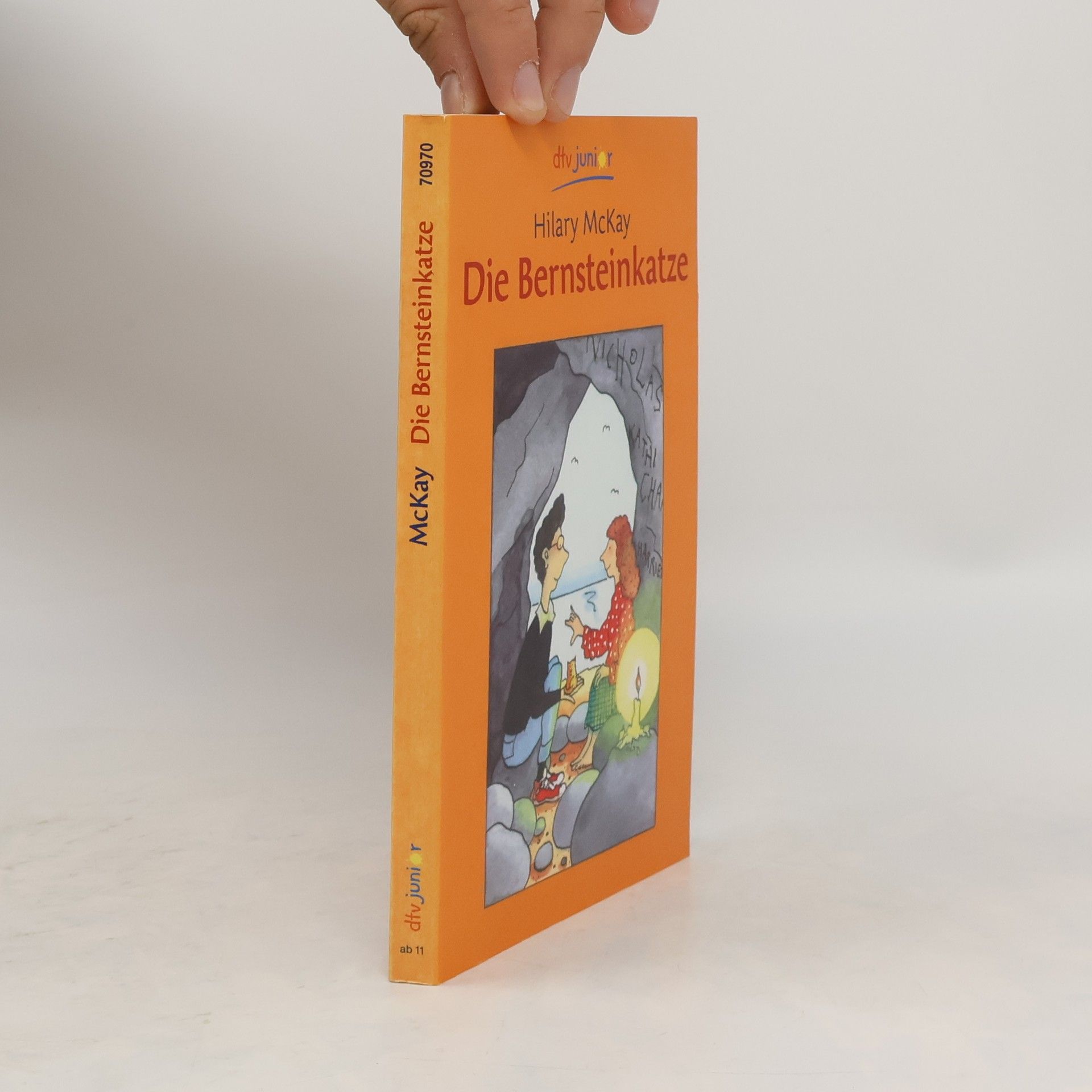 Hilary McKay Die Bernsteinkatze
