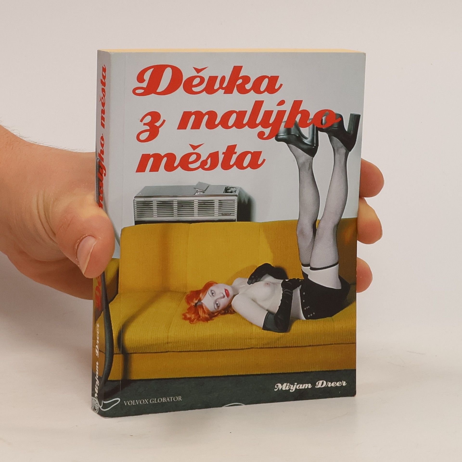 Mirjam Dreer Děvka z malýho města