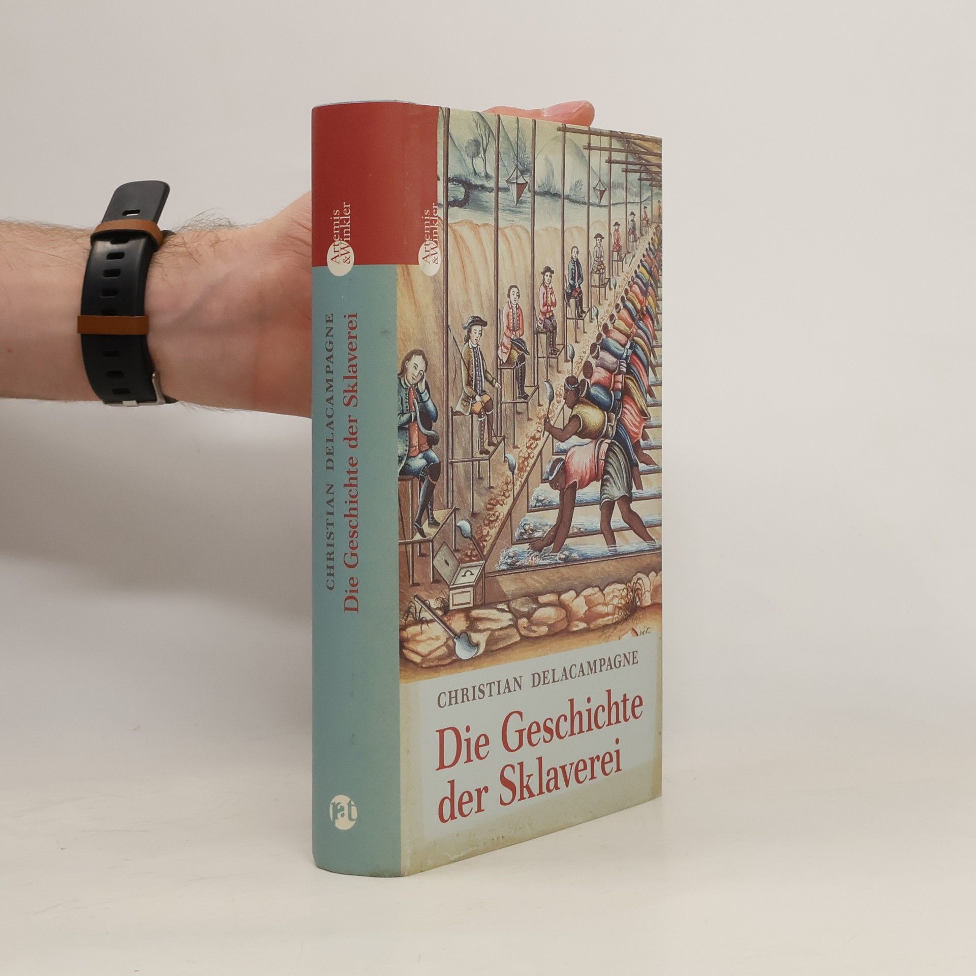 Christian Delacampagne Die Geschichte der Sklaverei