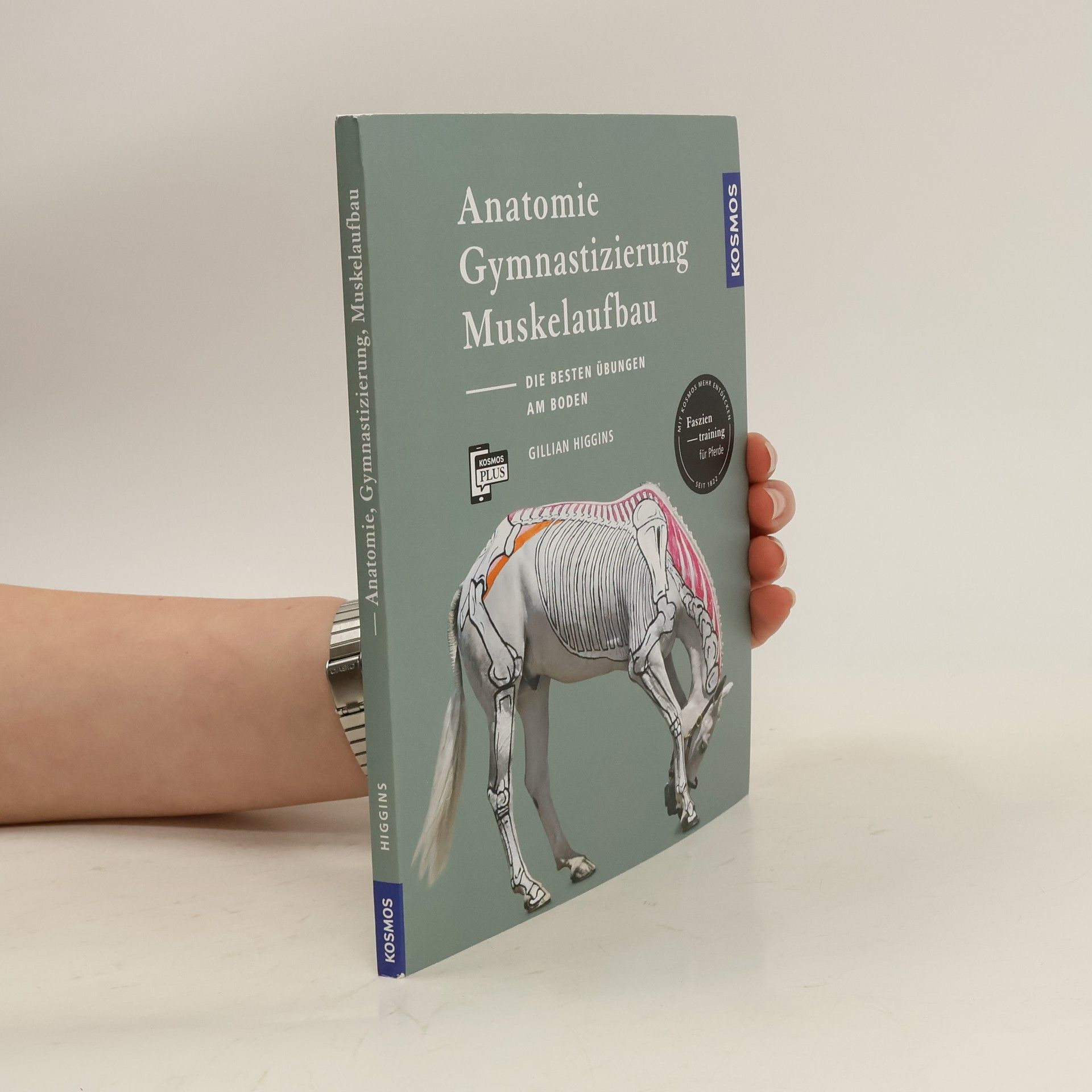 Gillian Higgins Anatomie, Gymnastizierung, Muskelaufbau