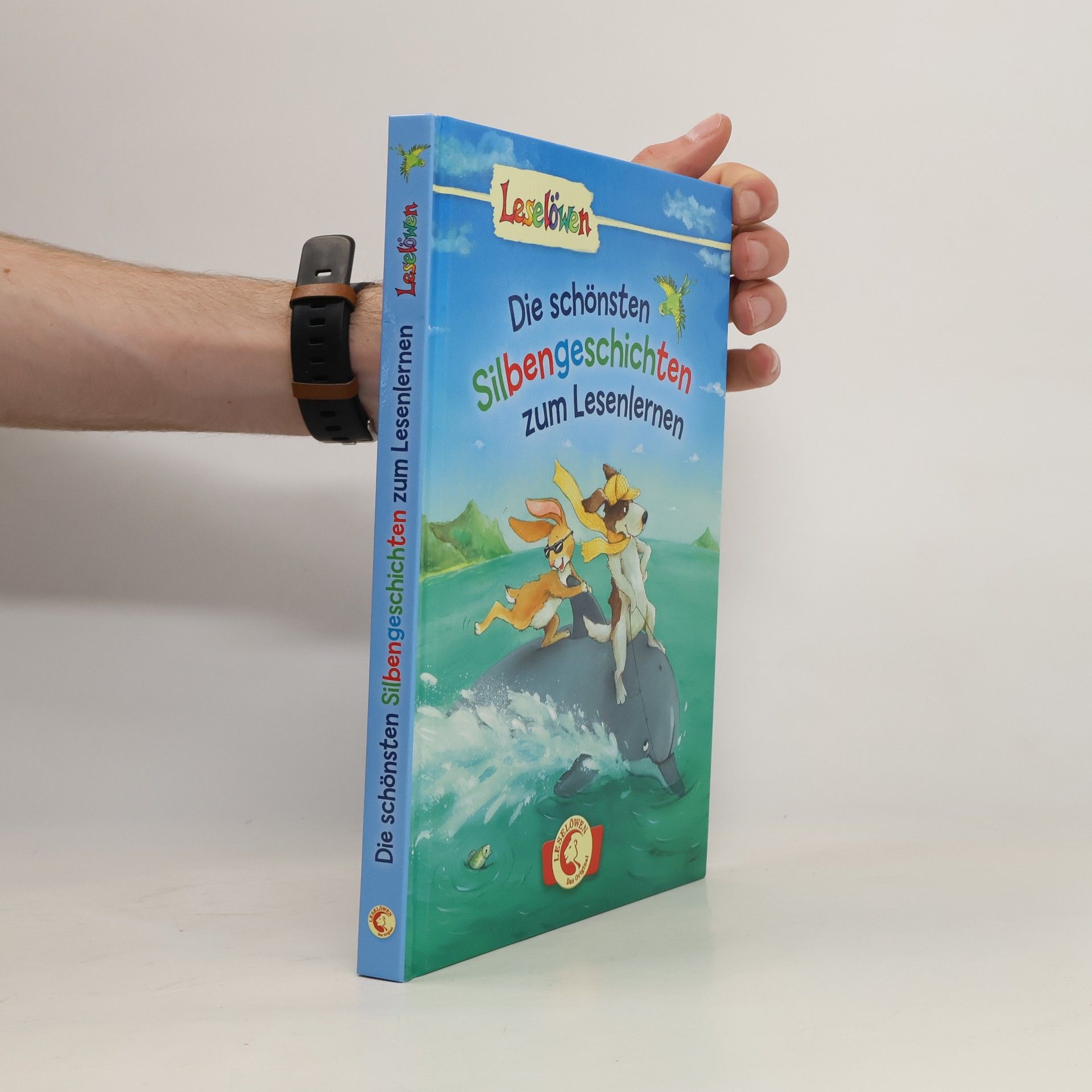 Collectif d'auteurs Die schönsten Silbengeschichten zum Lesenlernen