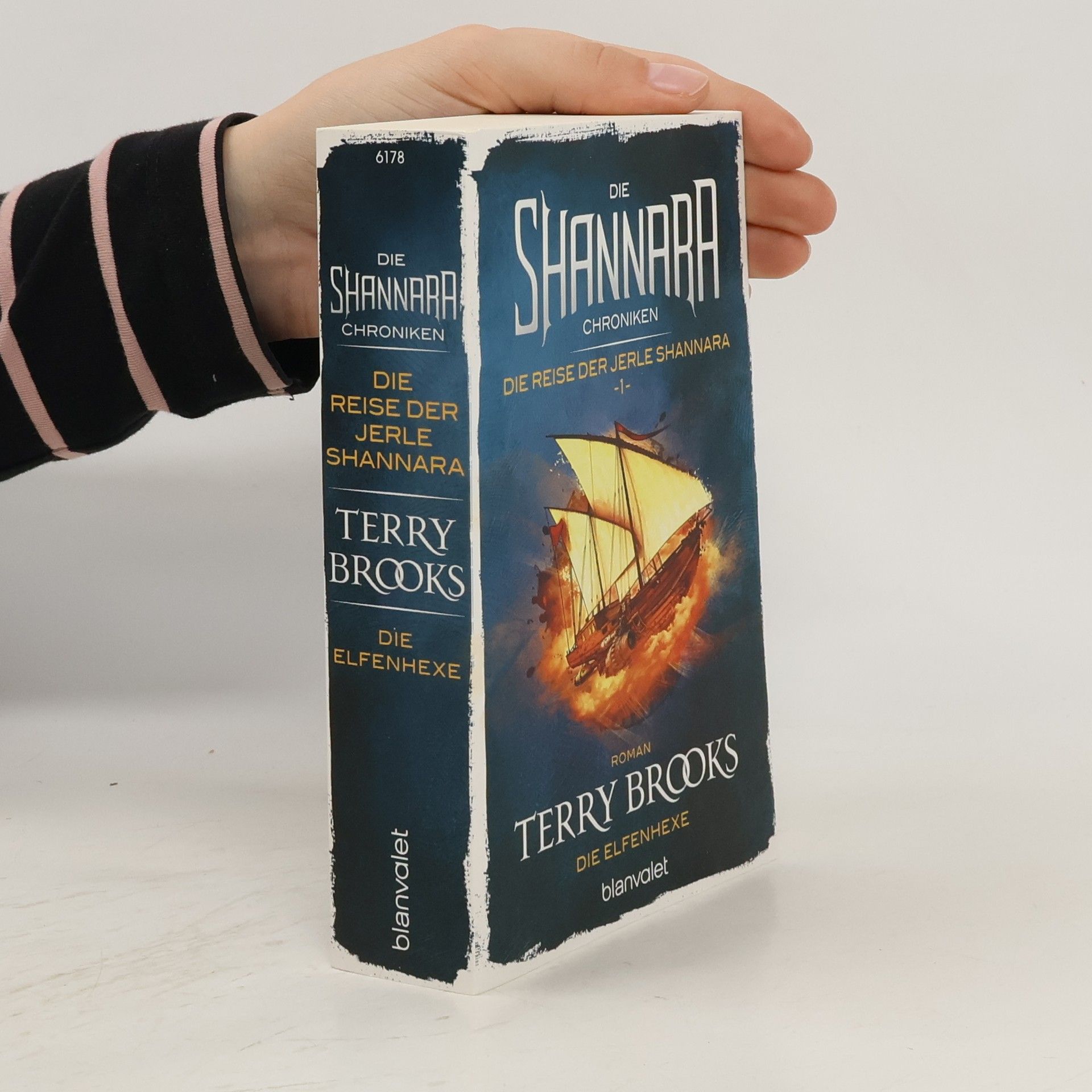 Terry Brooks Die Elfenhexe