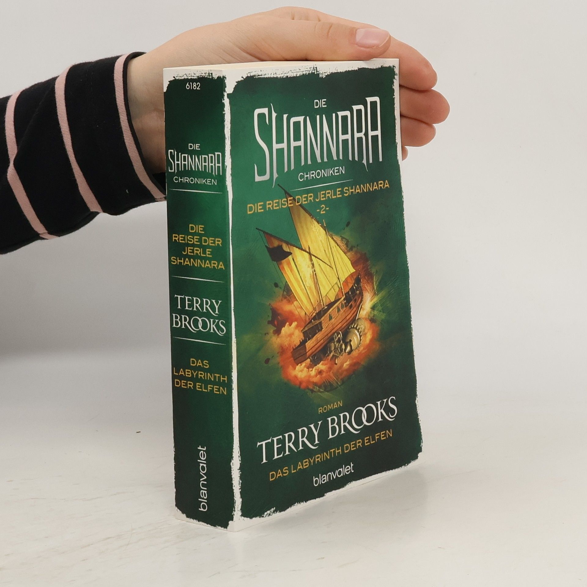 Terry Brooks Das Labyrinth der Elfen