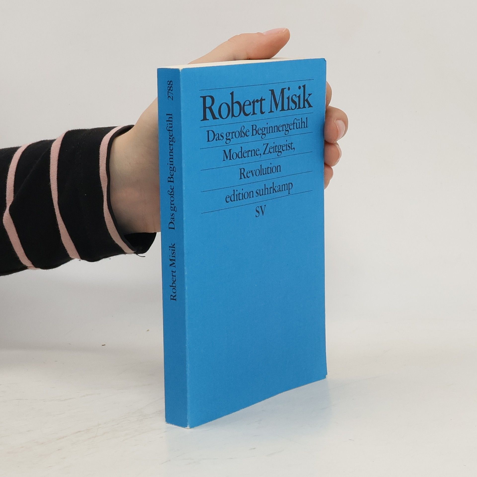 Robert Misik Das große Beginnergefühl