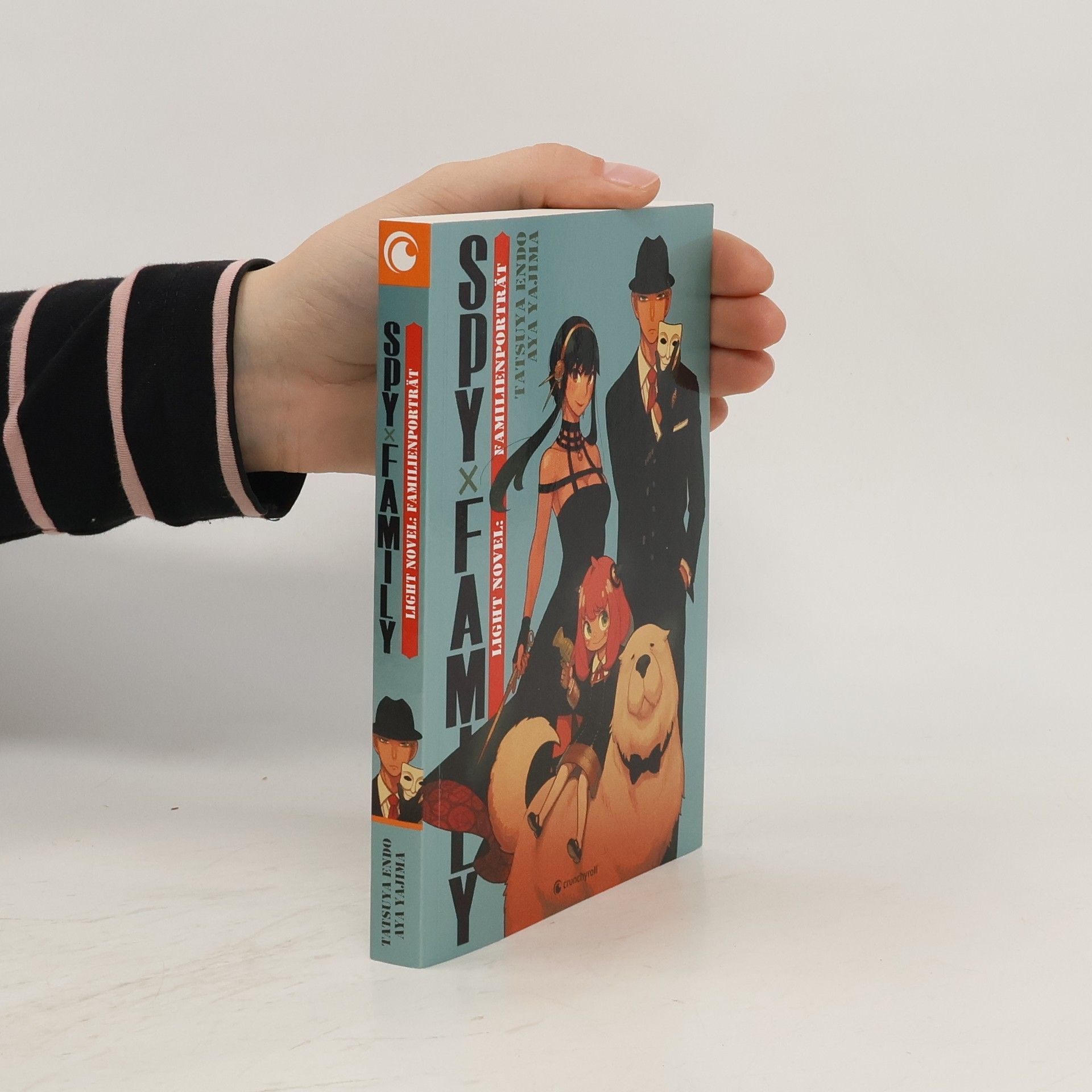 Tacuja Endó Spy x Family – Light Novel – Familienporträt