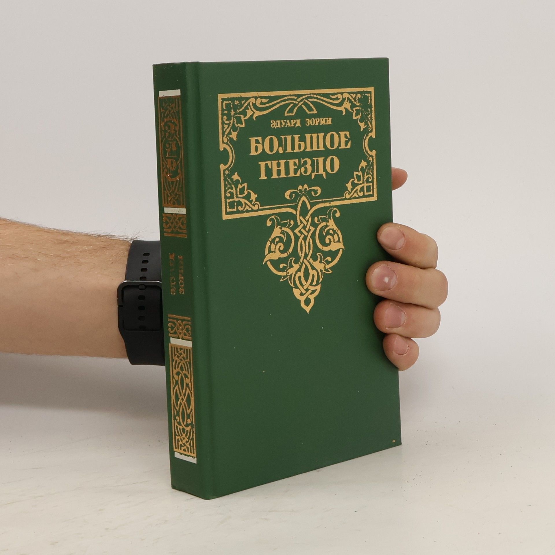 Эдуард Зорин Большое гнездо