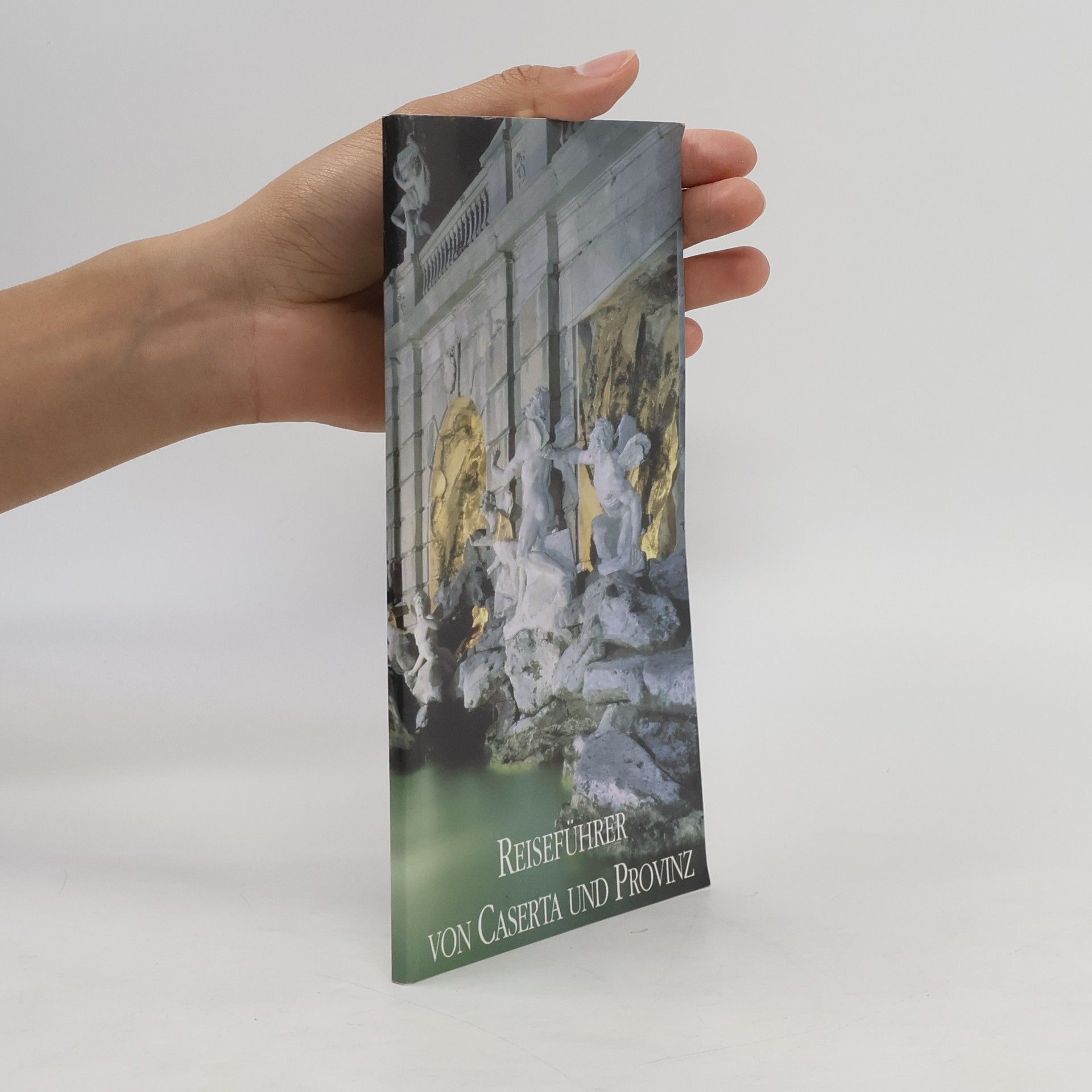 Auteurscollectief Reiseführer von Caserta und Provinz