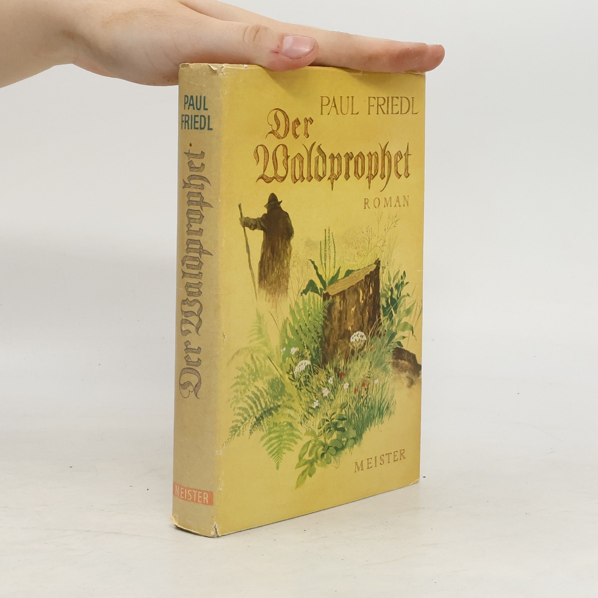 Paul Friedl Der Waldprophet
