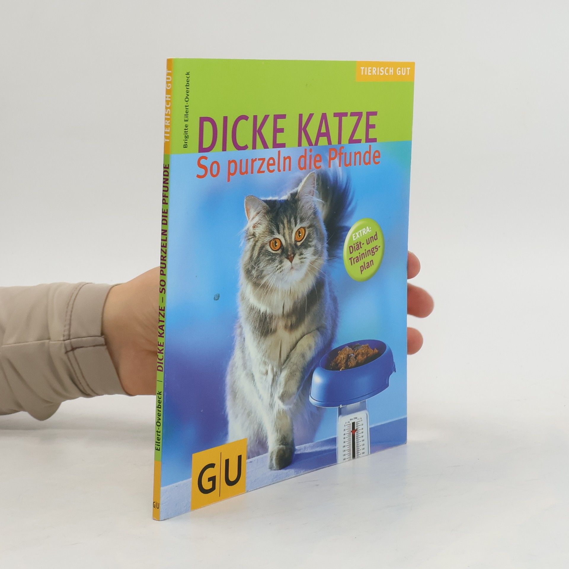Brigitte EilertOverbeck Dicke Katze