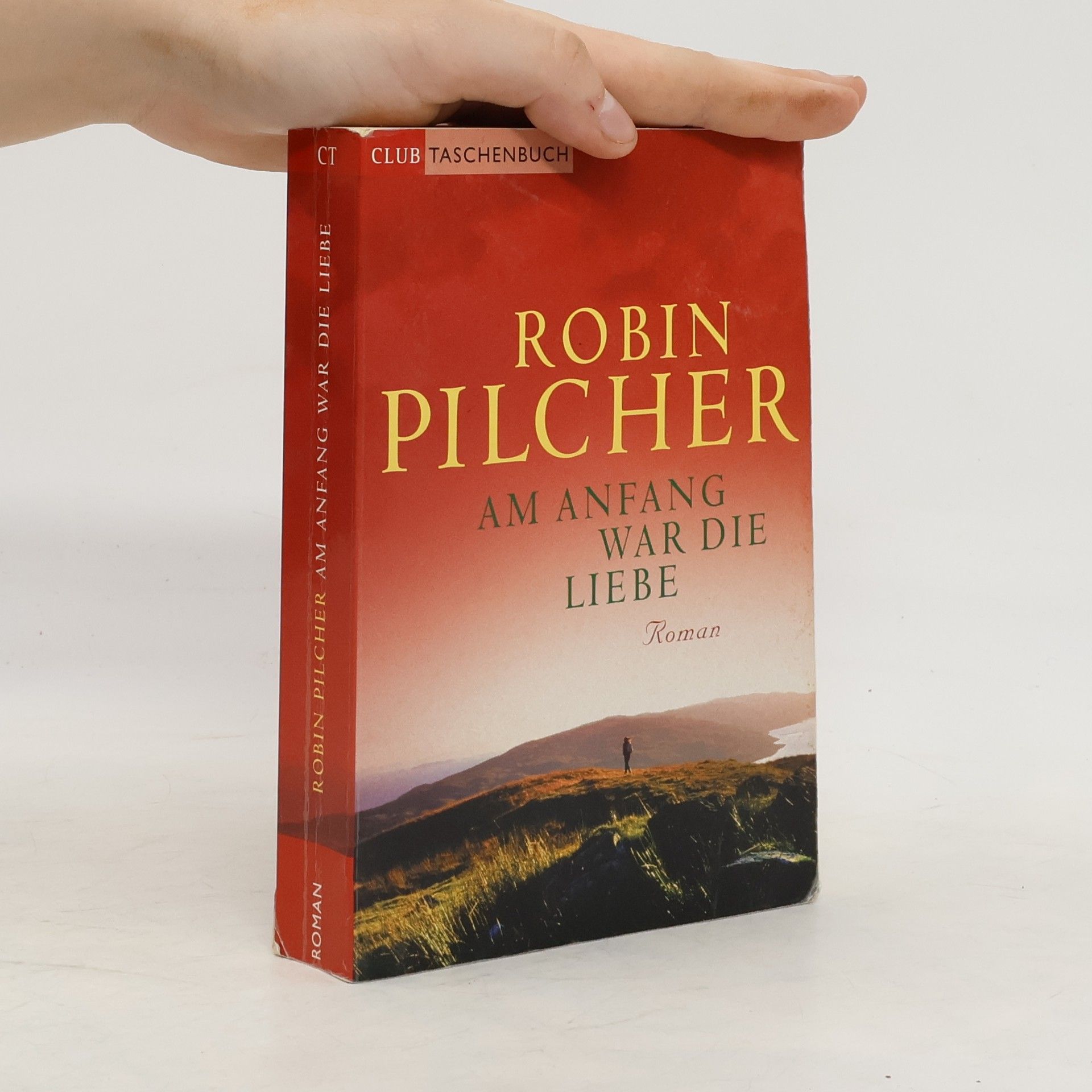 Robin Pilcher Am Anfang war die Liebe