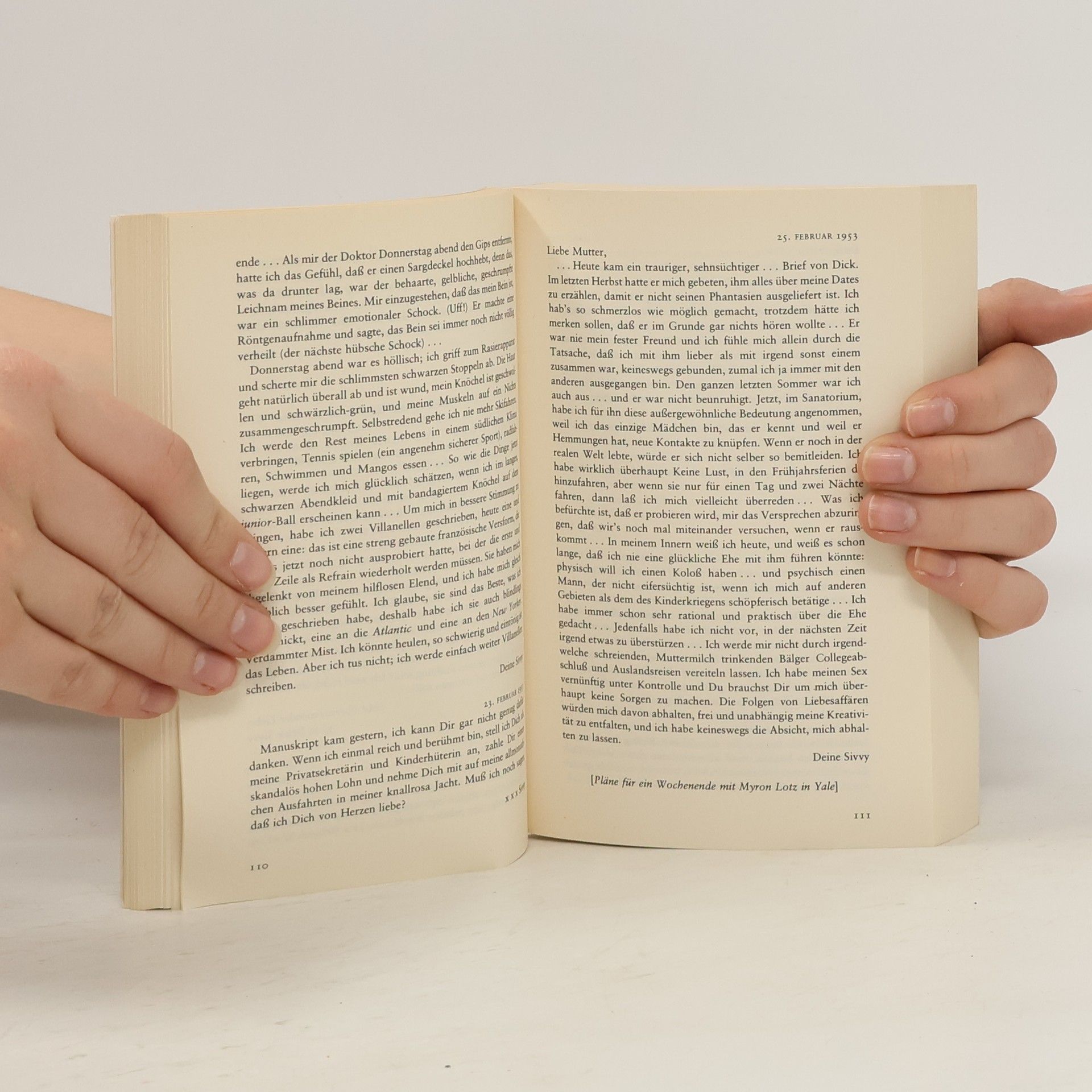 Sylvia Plath Briefe nach Hause