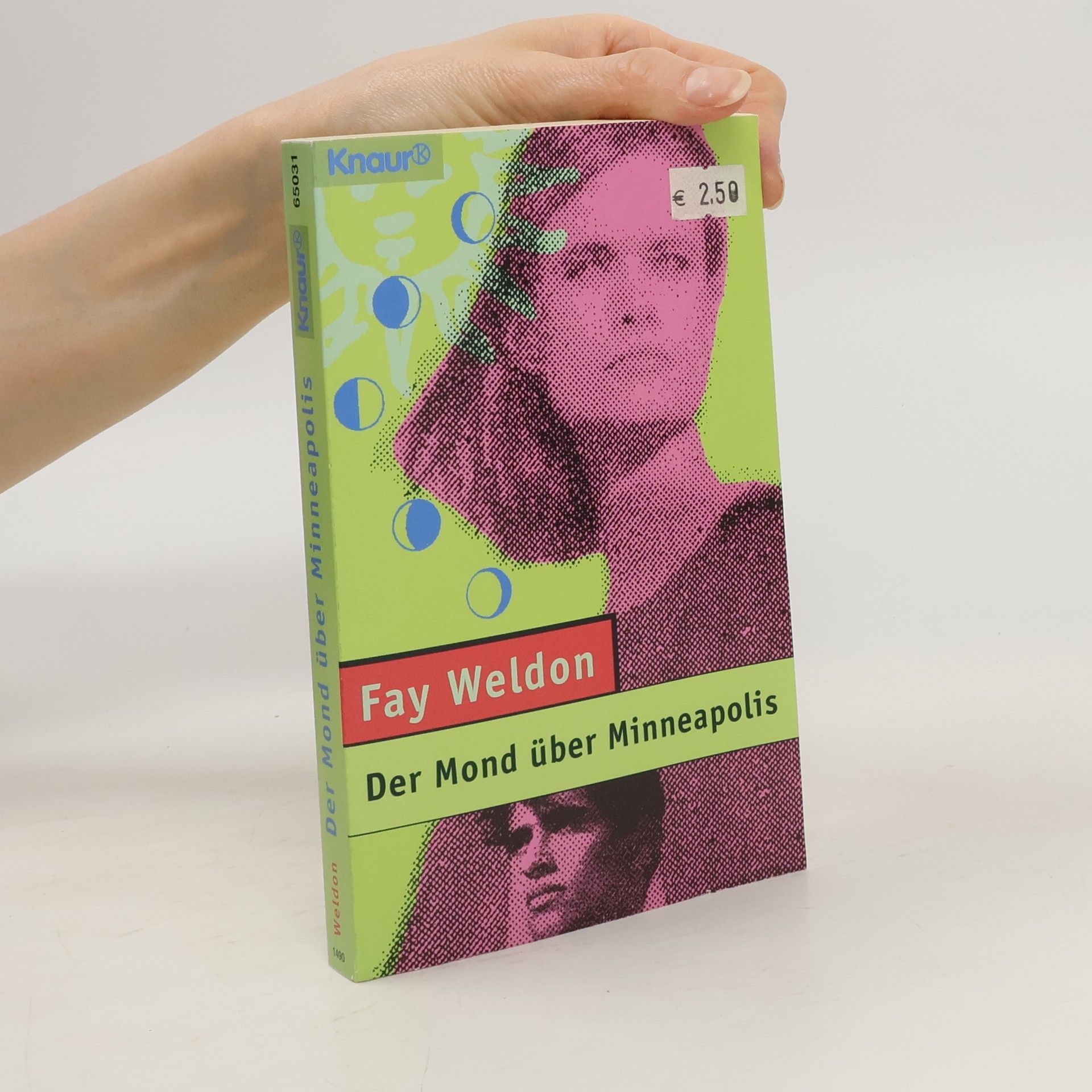 Fay Weldon Der Mond über Minneapolis