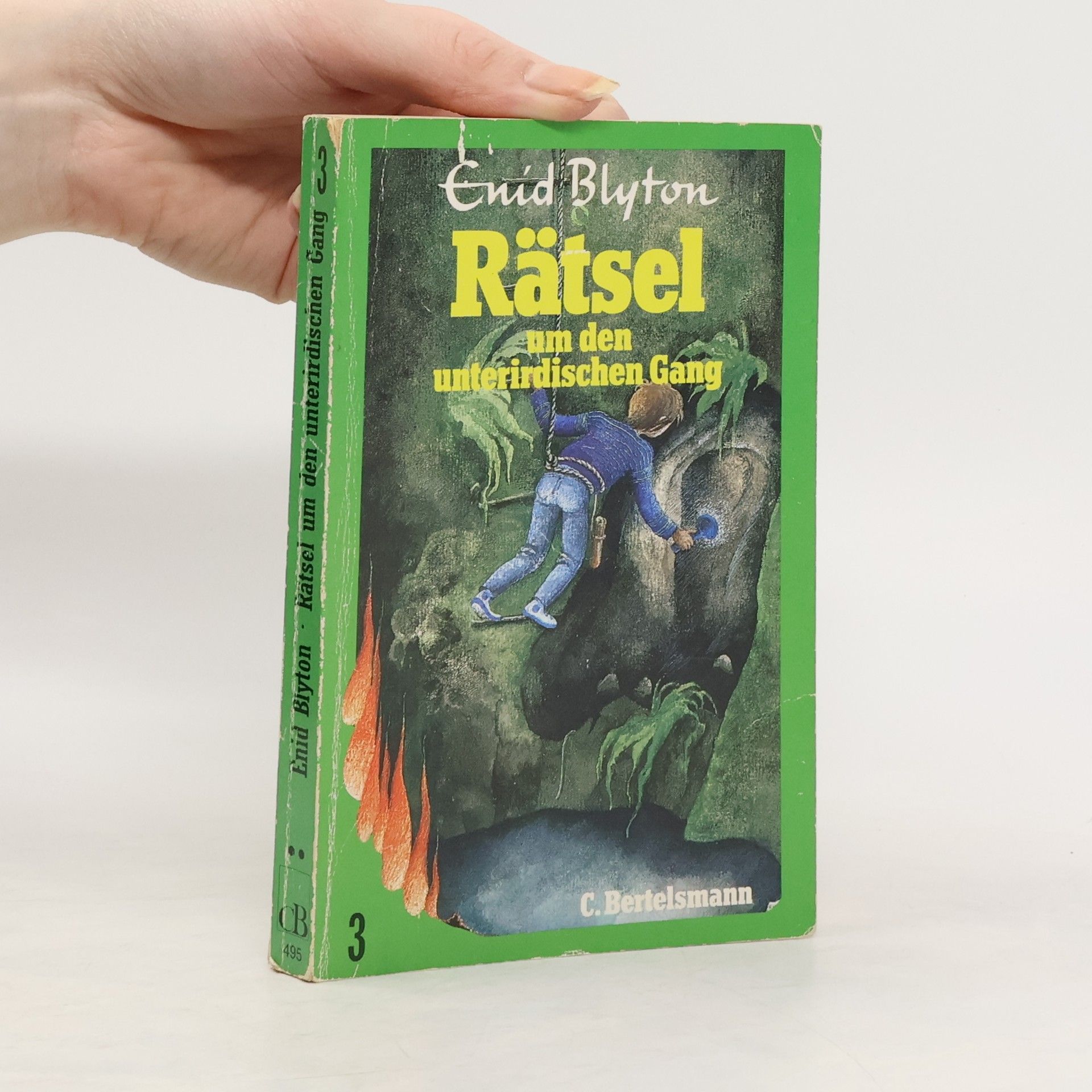 Enid Blyton Die Rätsel 3
