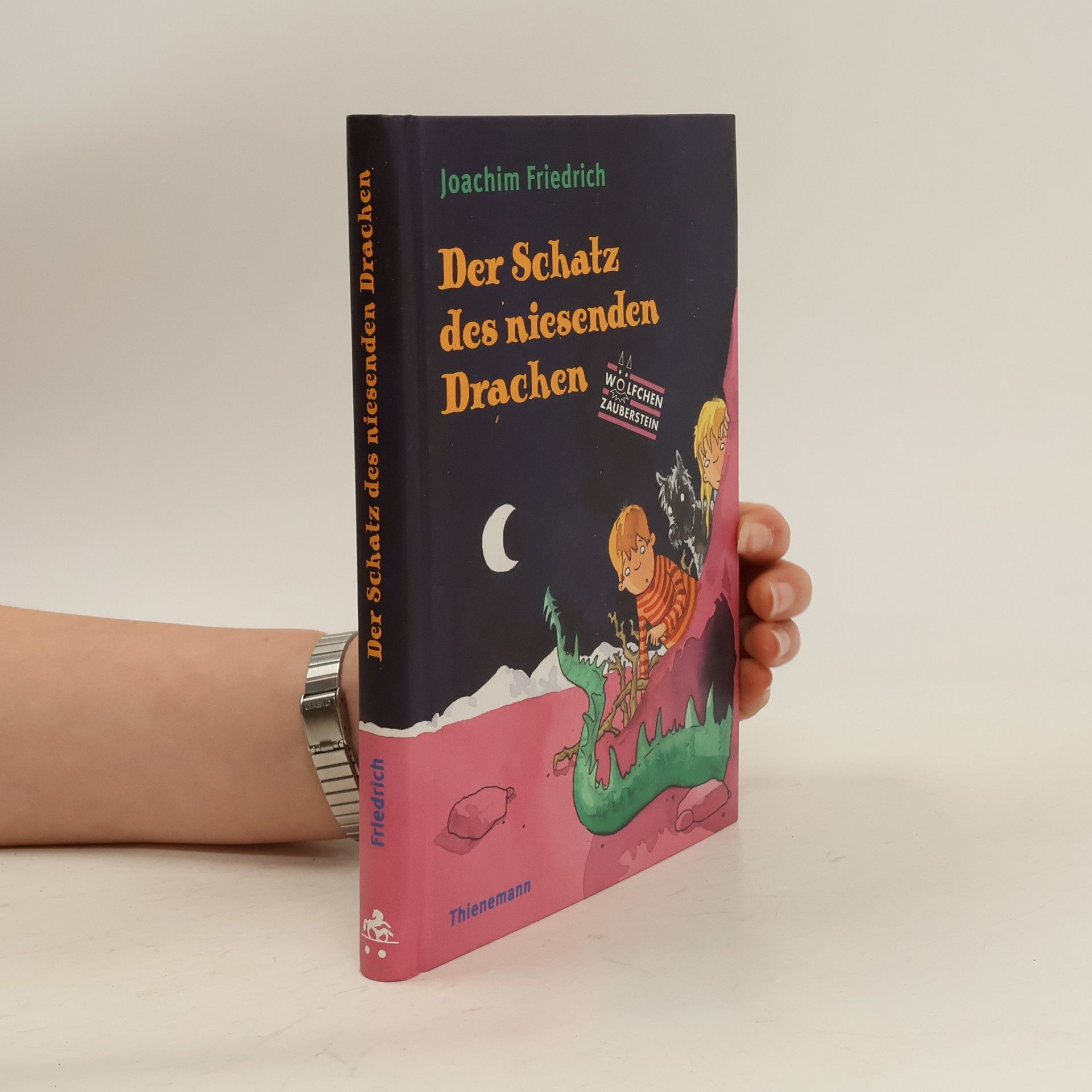 Joachim-Friedrich Kapp Der Schatz des niesenden Drachen